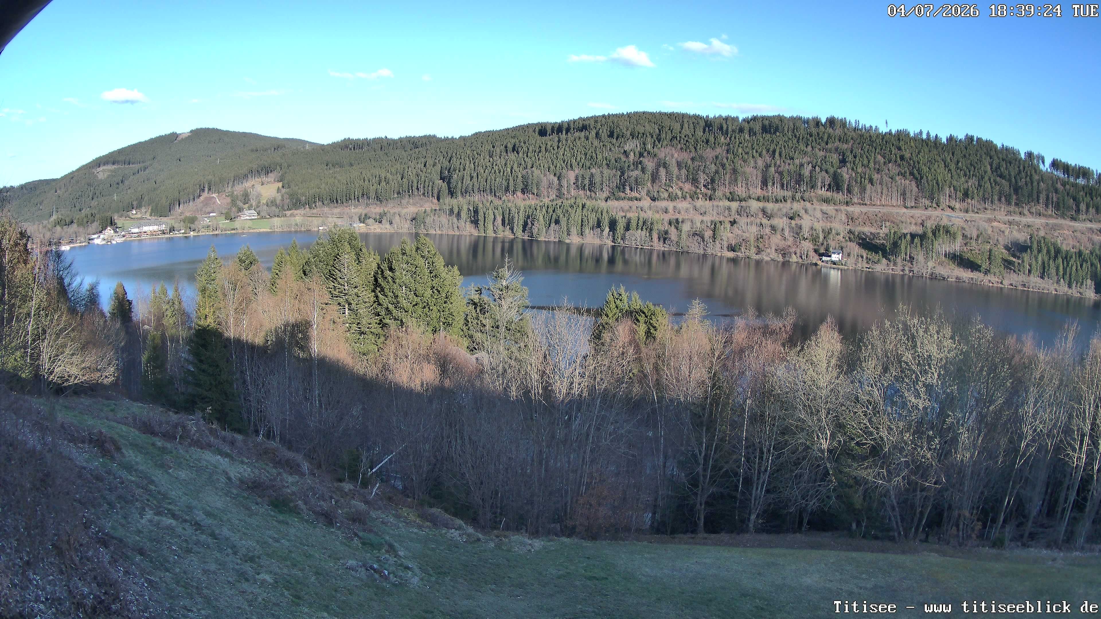 Archiv Foto Webcam Titisee: Westufer