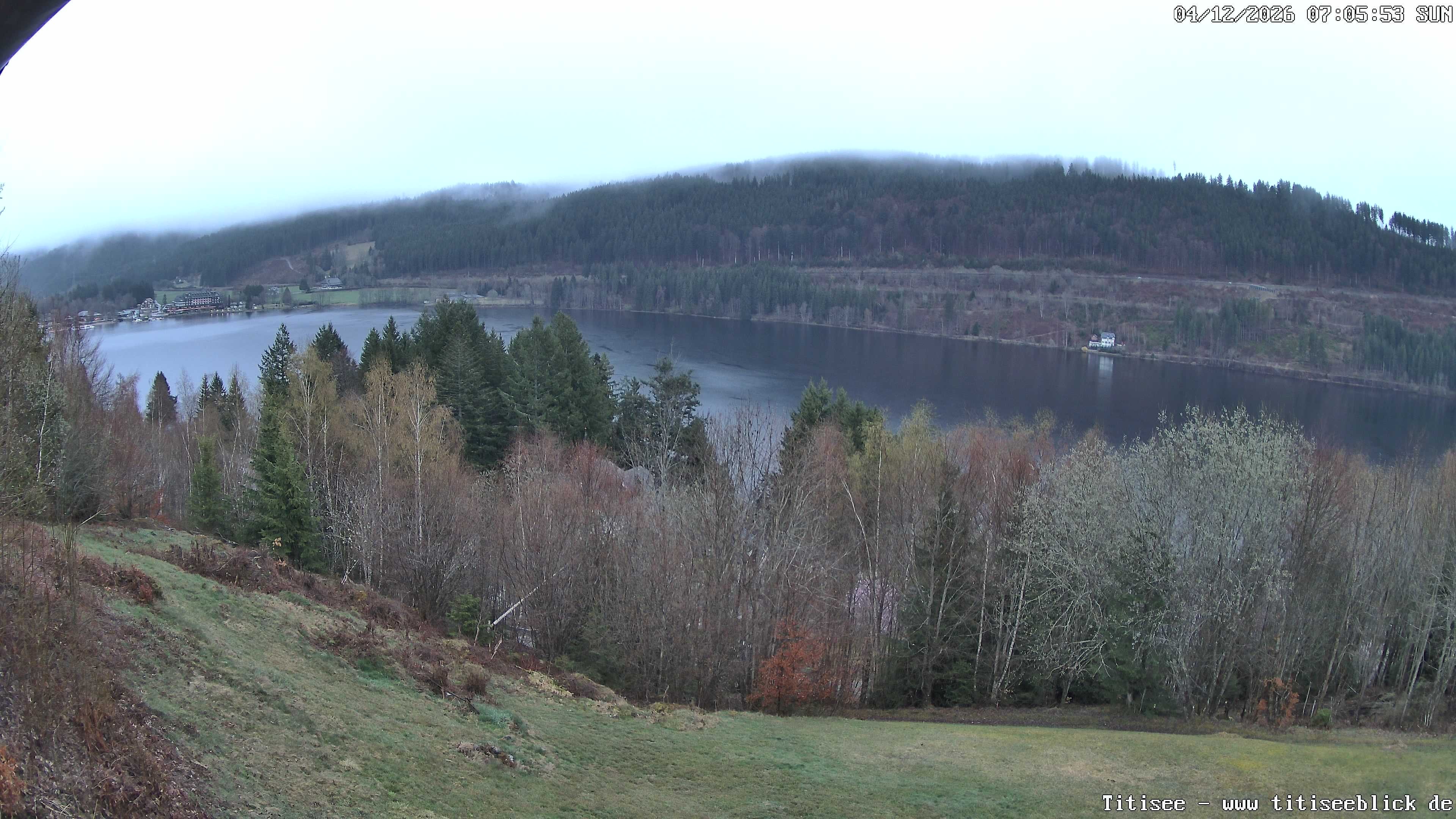 Archiv Foto Webcam Titisee: Westufer