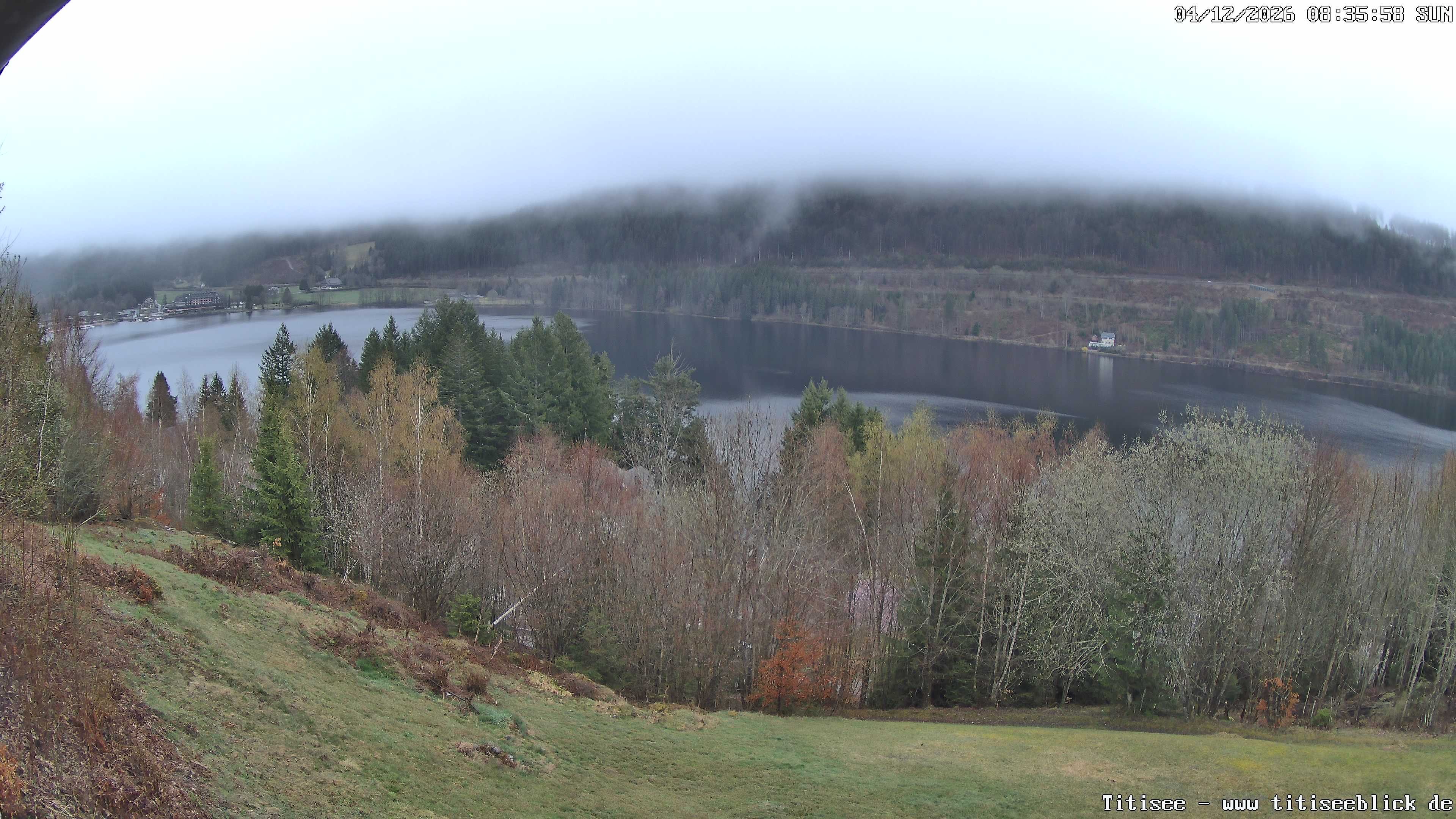 Archiv Foto Webcam Titisee: Westufer