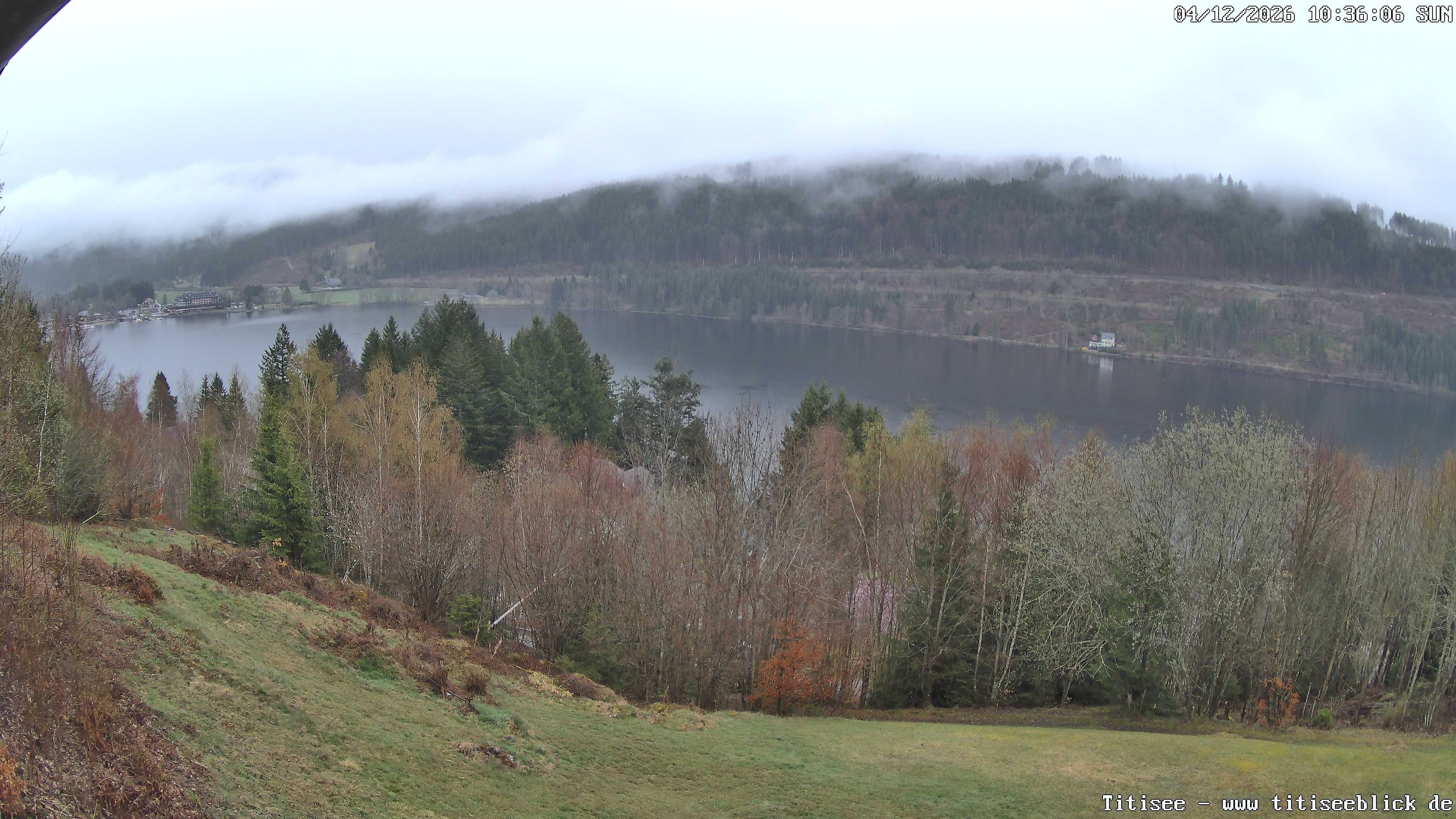 Archiv Foto Webcam Titisee: Westufer