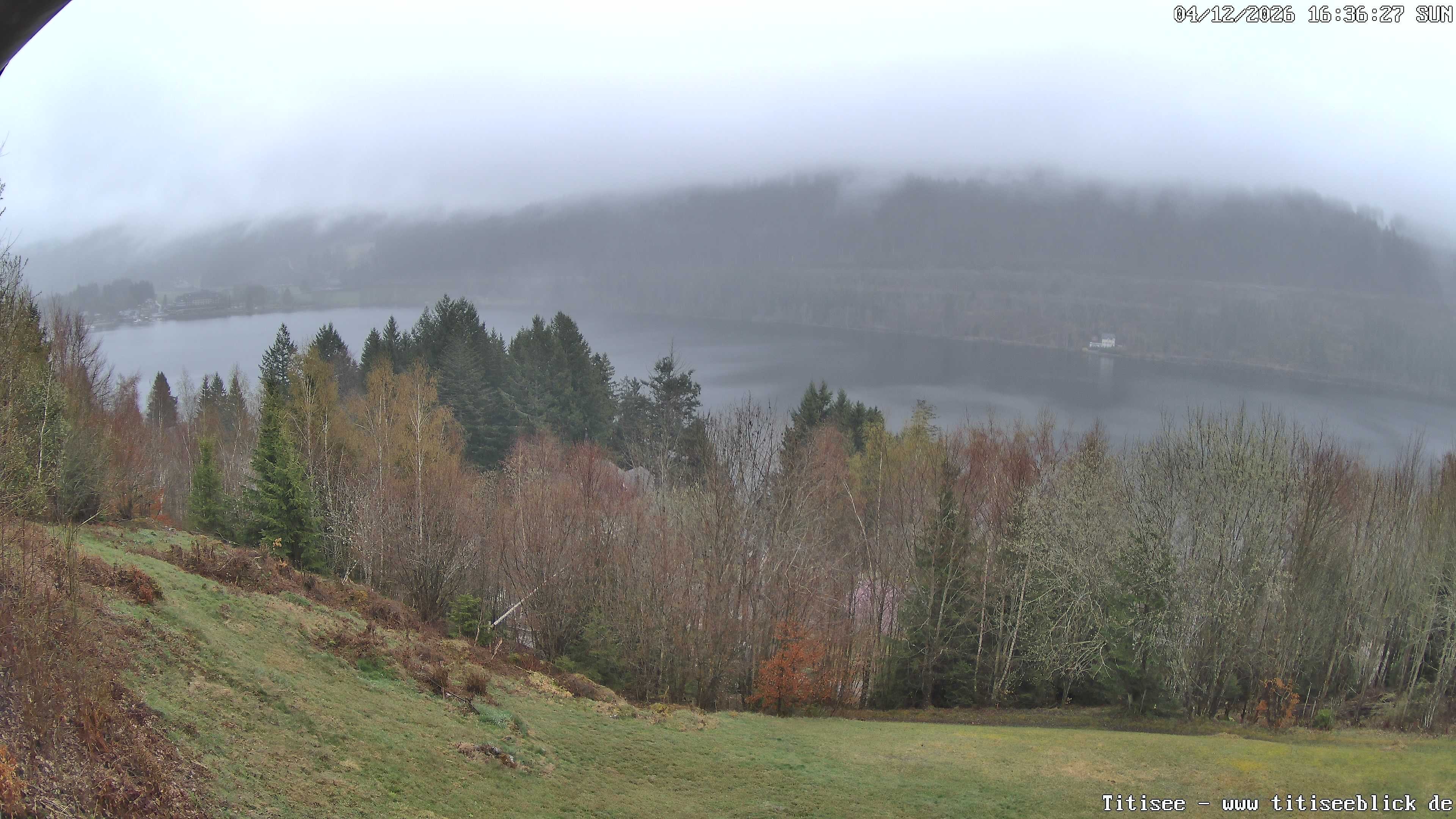 Archiv Foto Webcam Titisee: Westufer