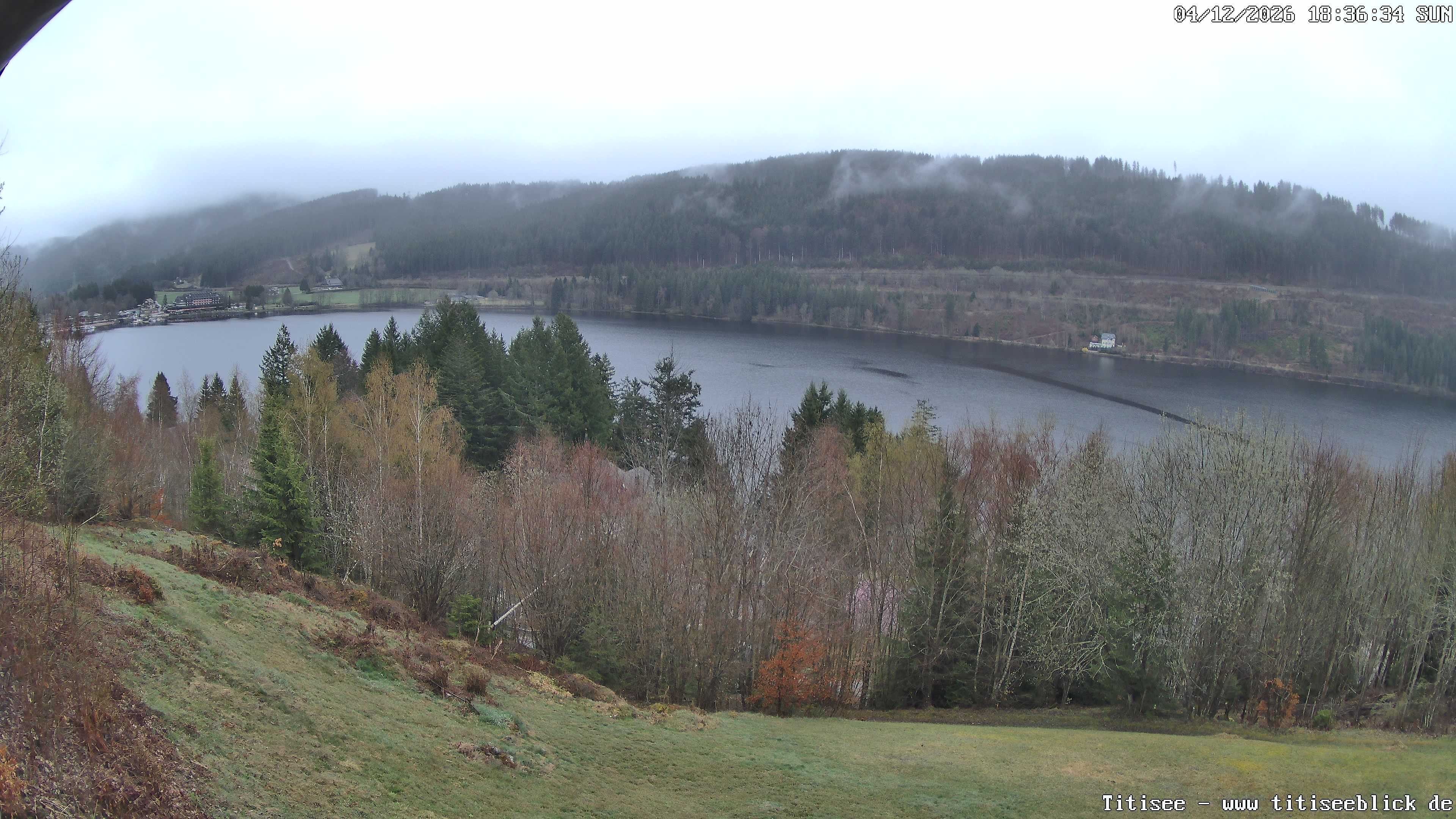 Archiv Foto Webcam Titisee: Westufer