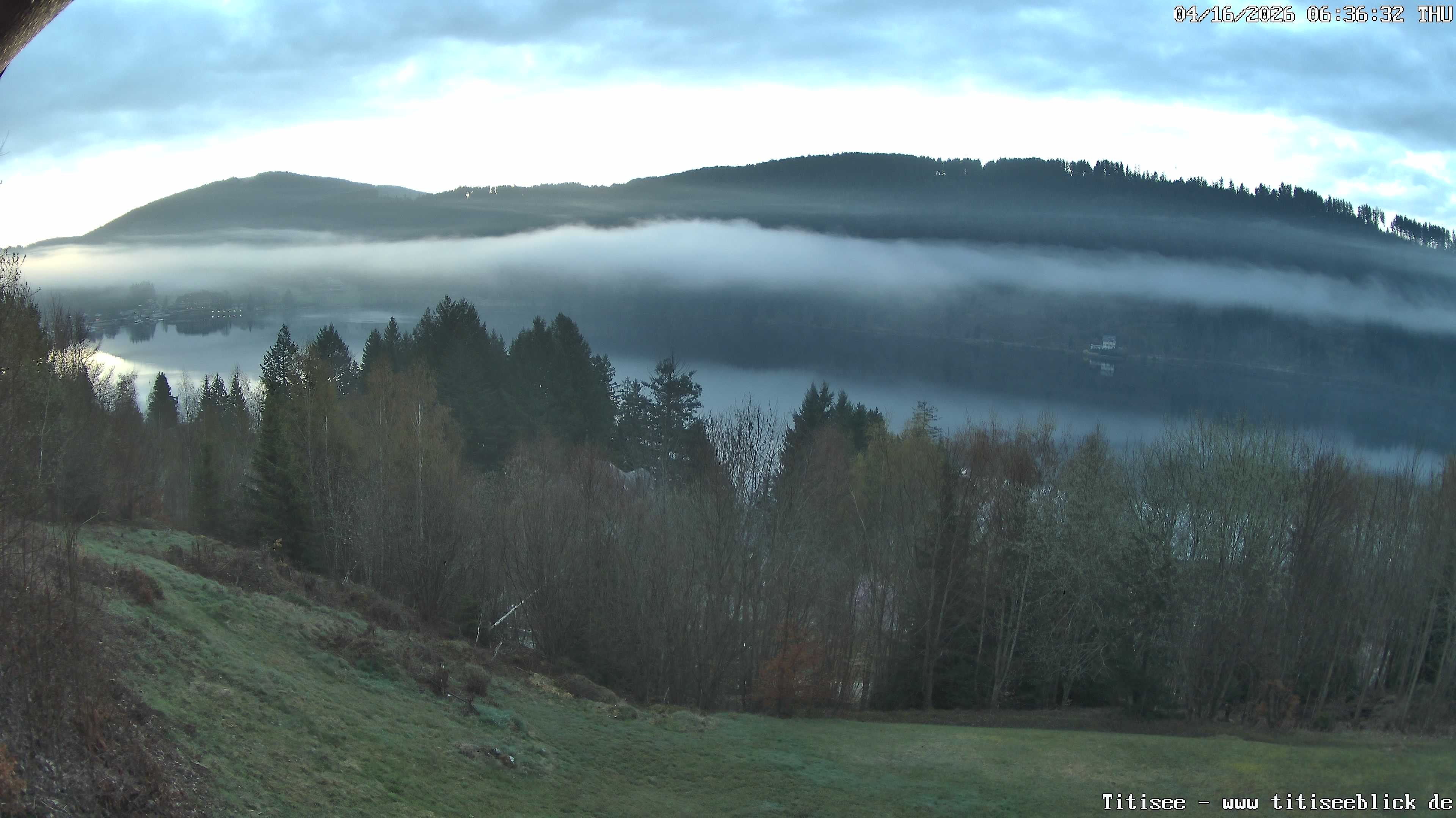 Archiv Foto Webcam Titisee: Westufer