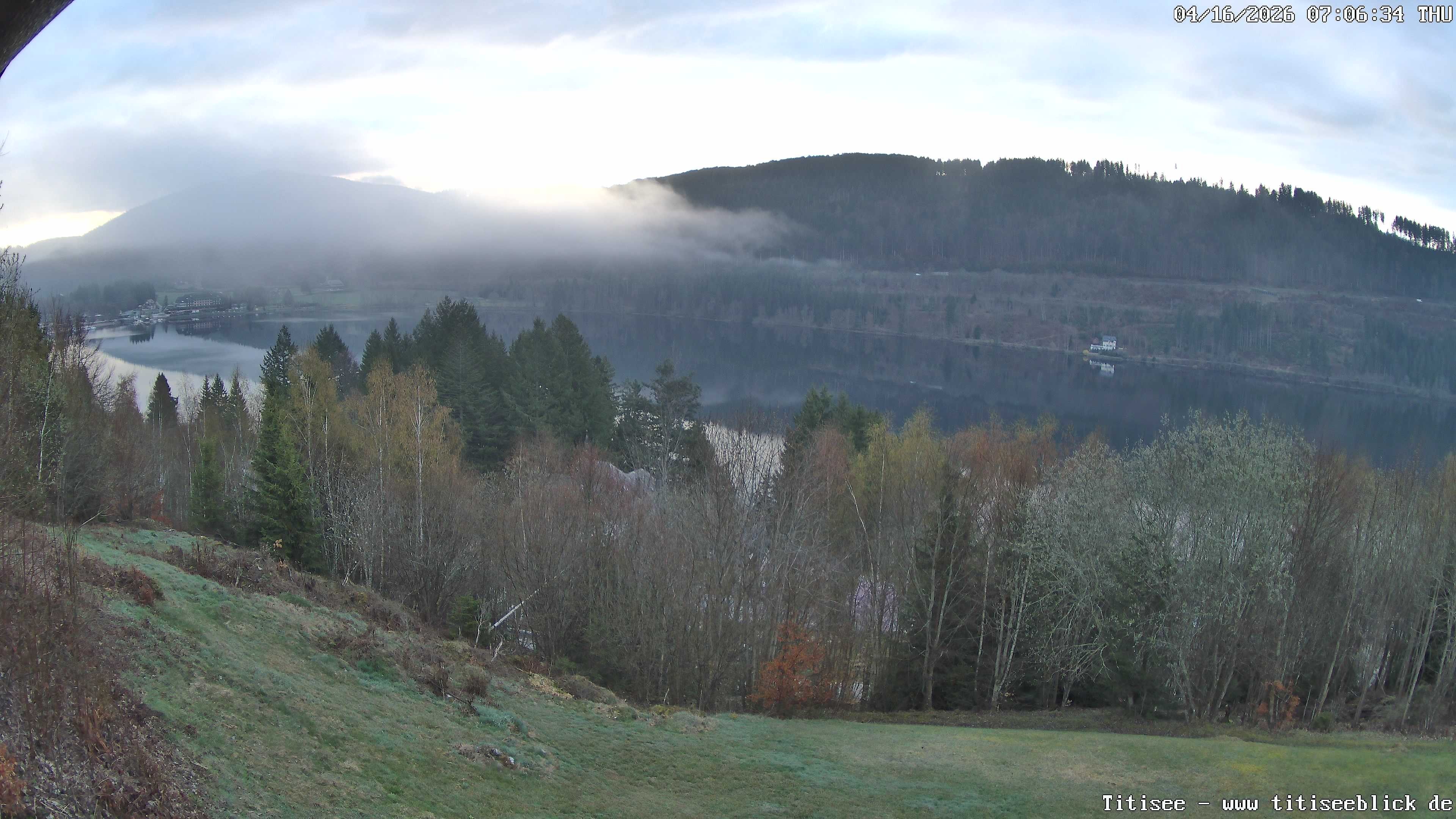 Archiv Foto Webcam Titisee: Westufer