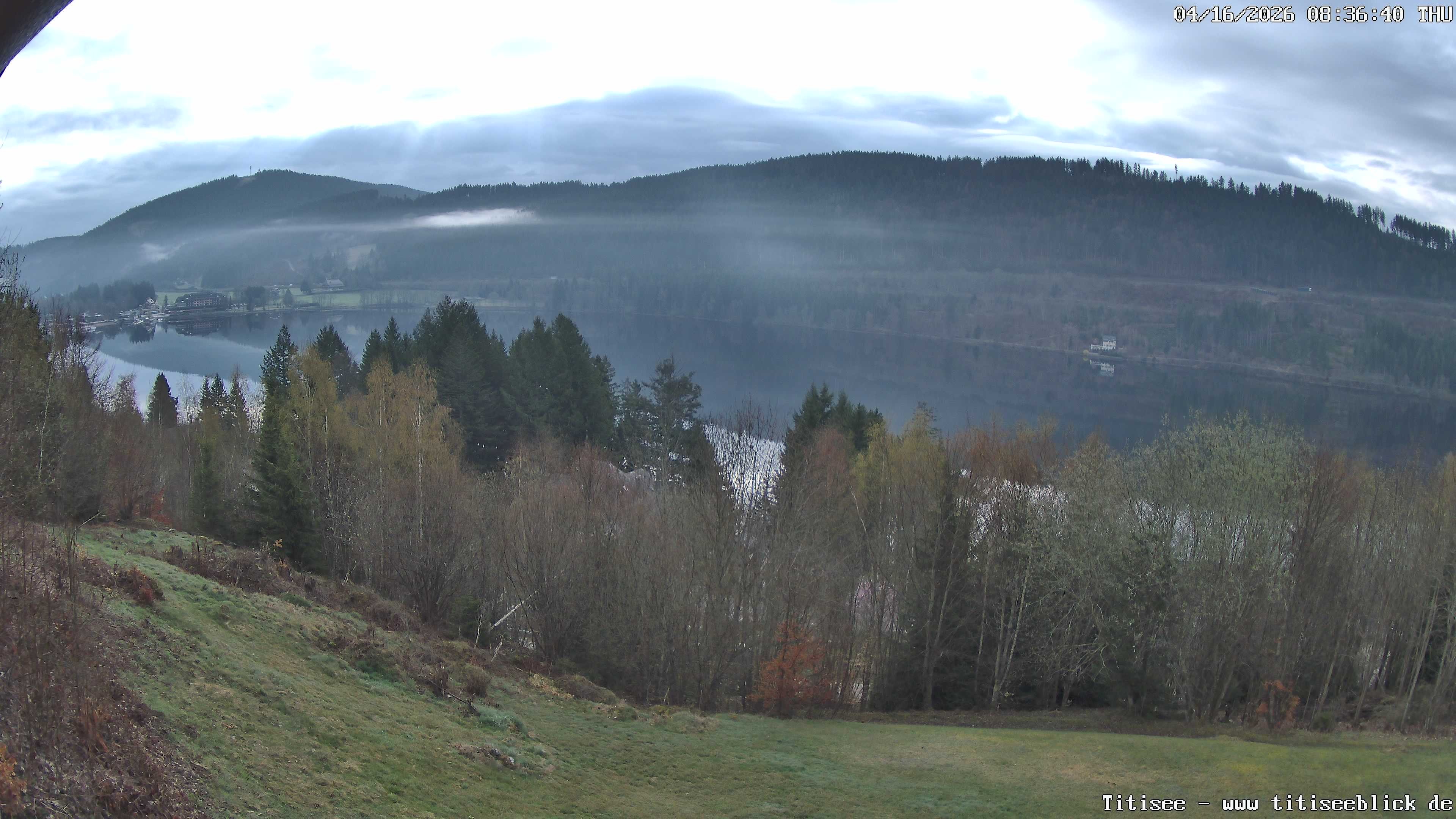 Archiv Foto Webcam Titisee: Westufer