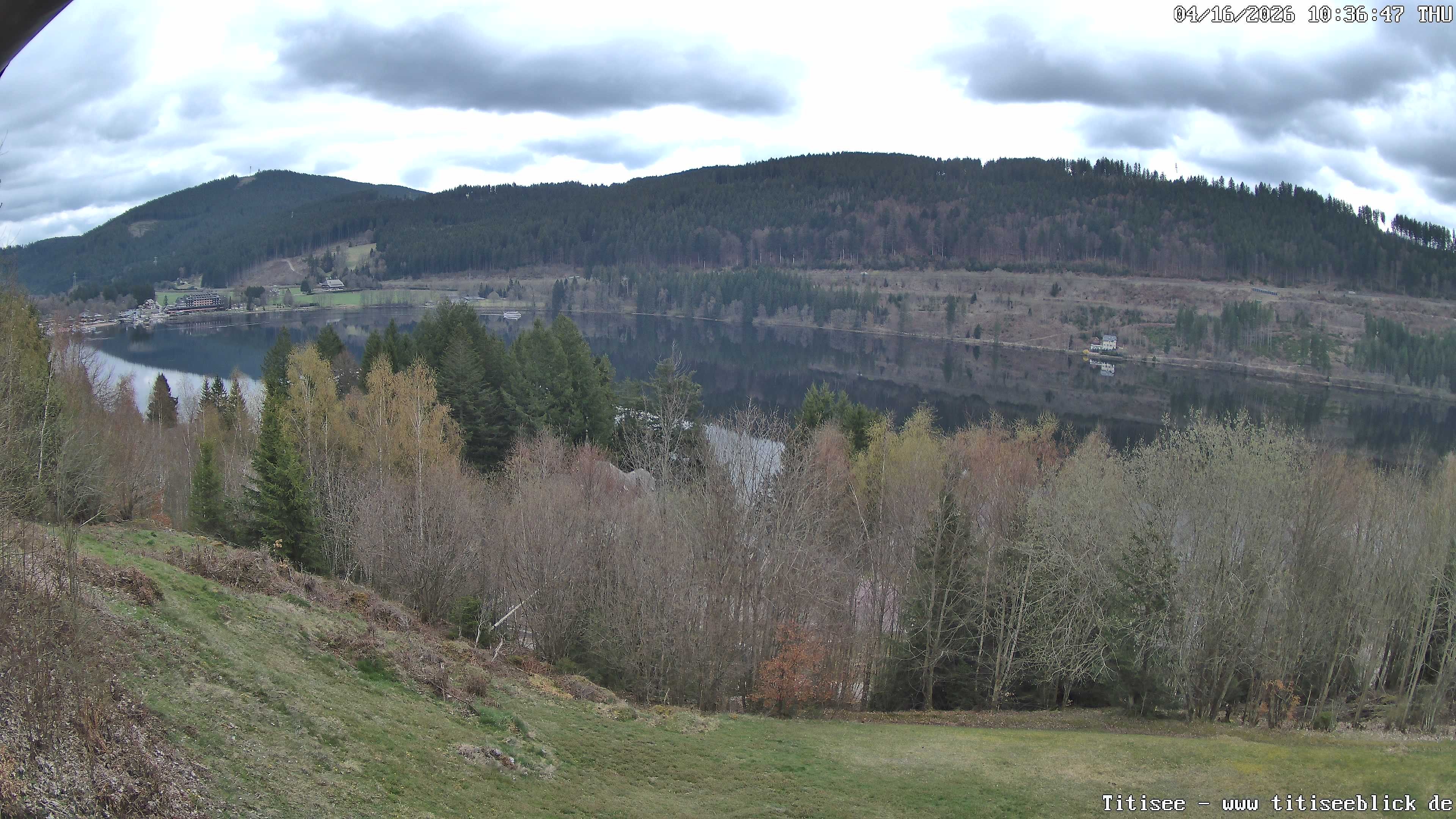 Archiv Foto Webcam Titisee: Westufer