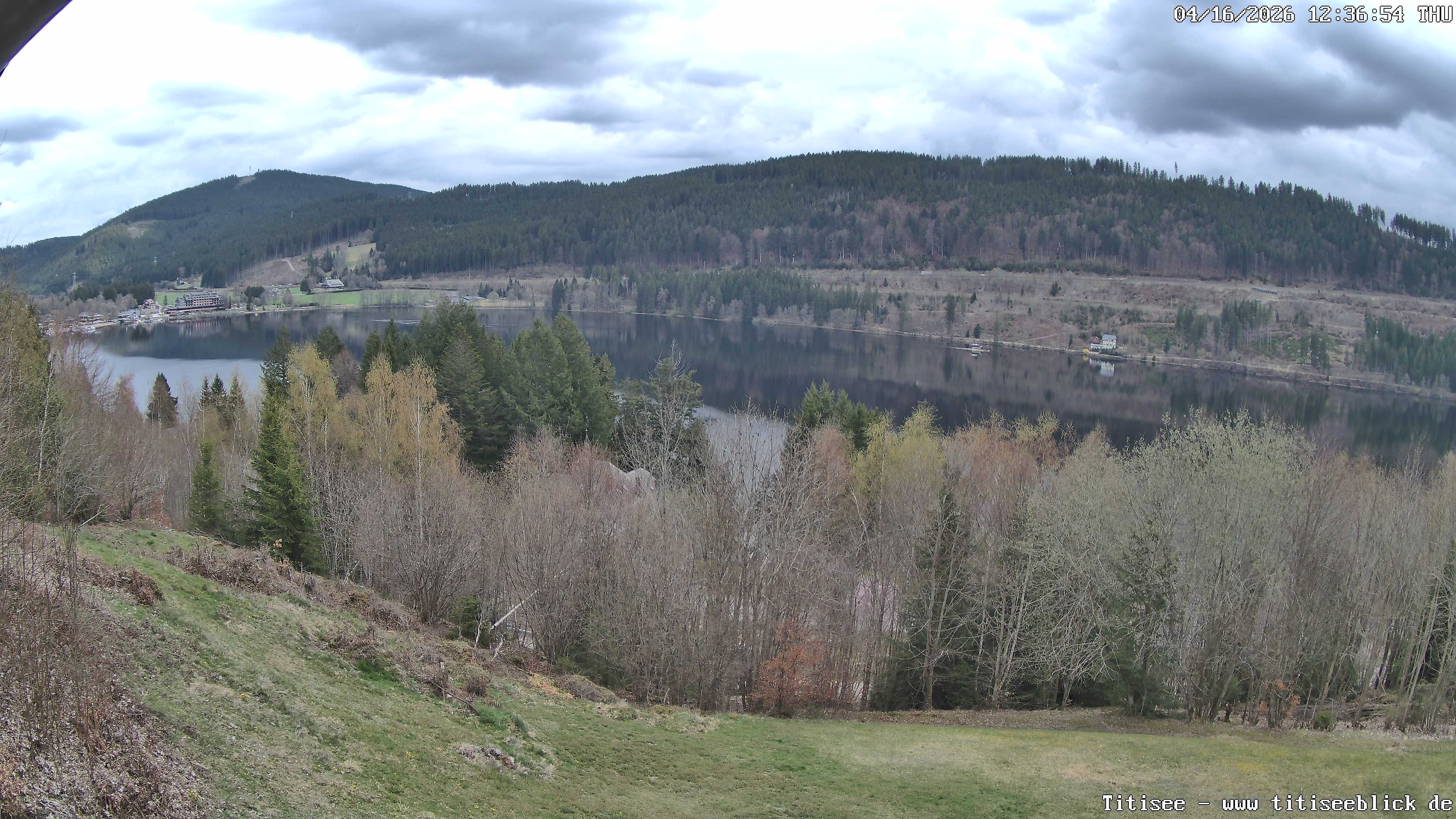 Archiv Foto Webcam Titisee: Westufer