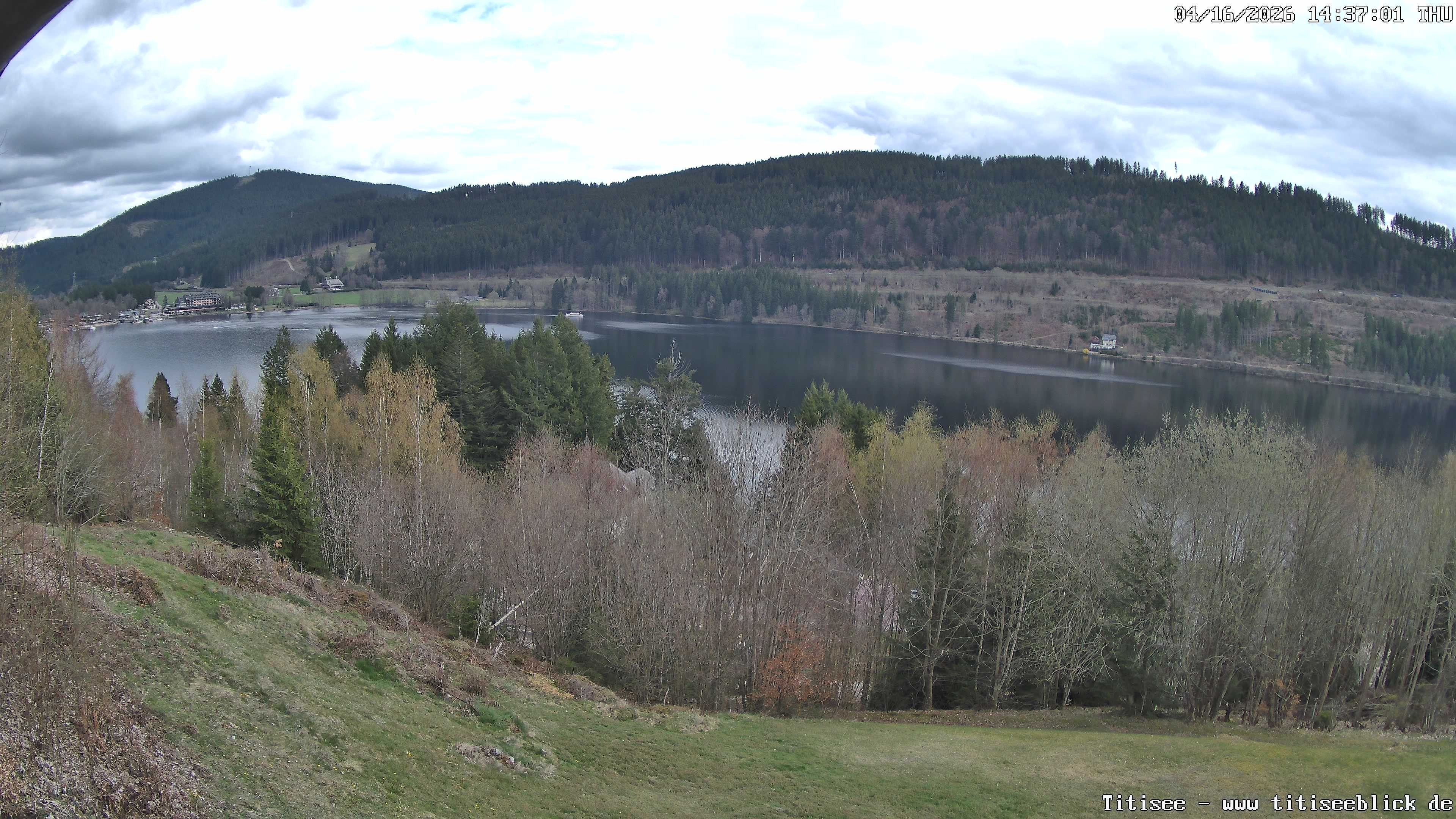 Archiv Foto Webcam Titisee: Westufer