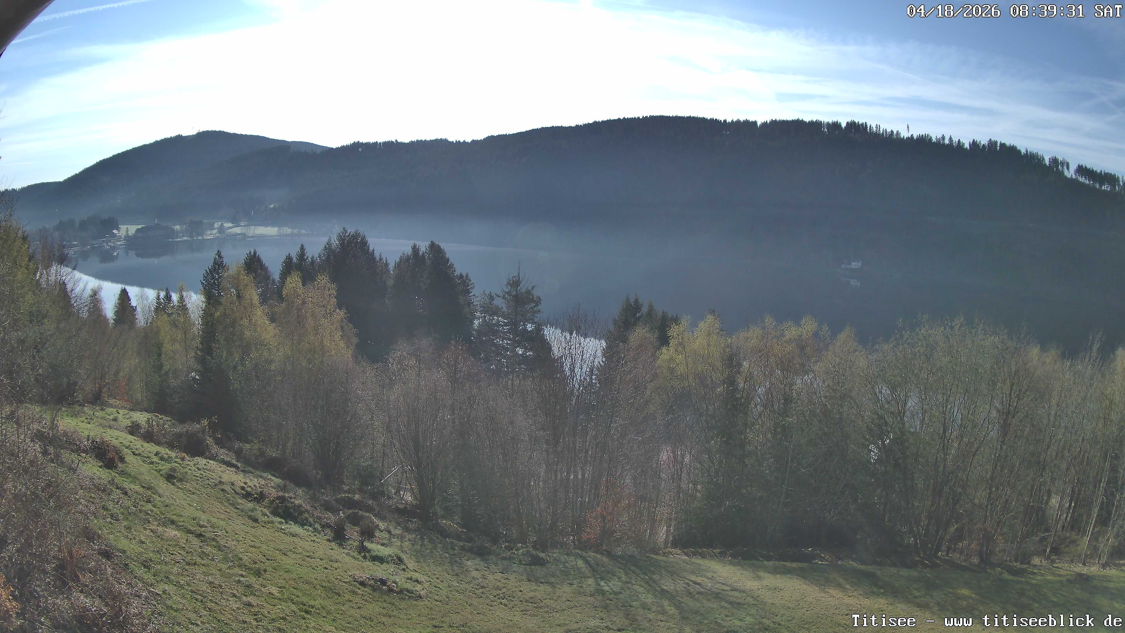 Archiv Foto Webcam Titisee: Westufer