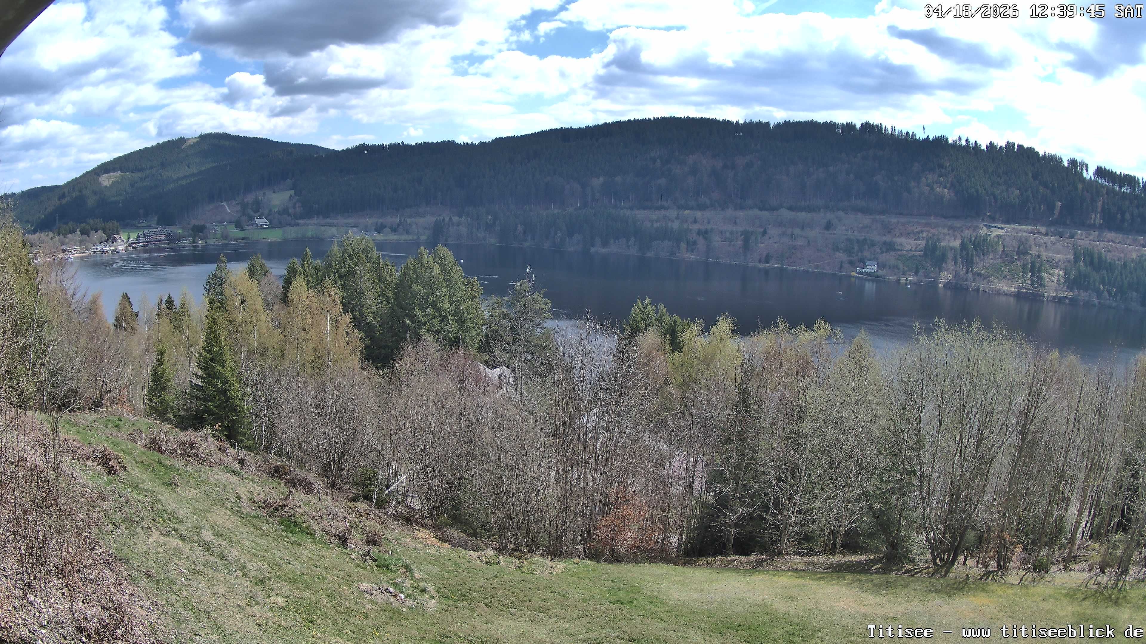 Archiv Foto Webcam Titisee: Westufer