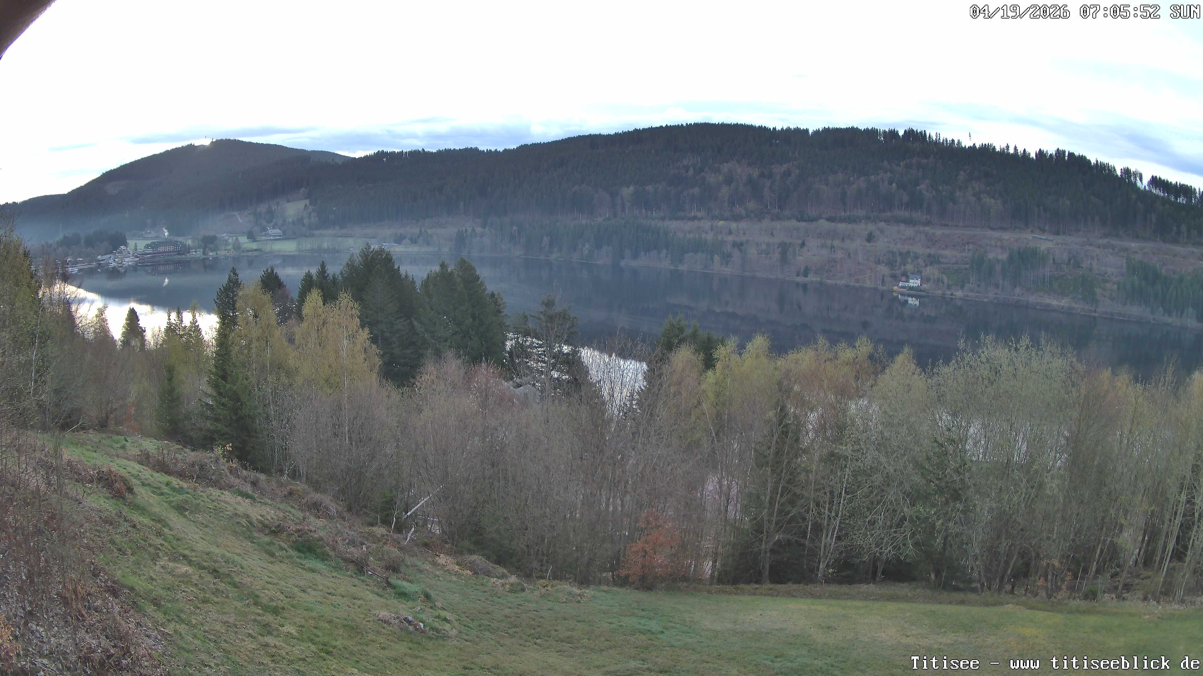 Archiv Foto Webcam Titisee: Westufer