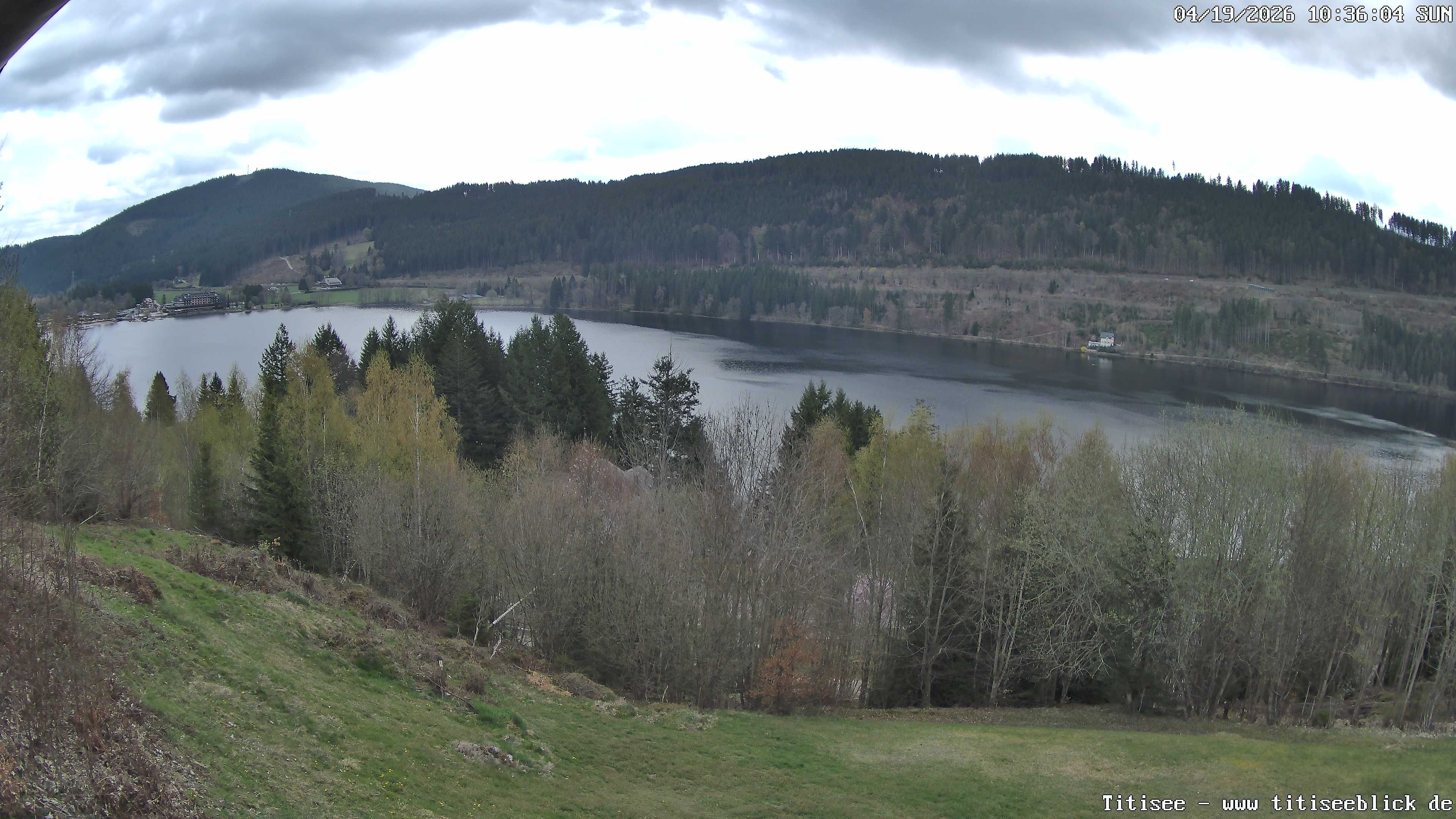 Archiv Foto Webcam Titisee: Westufer