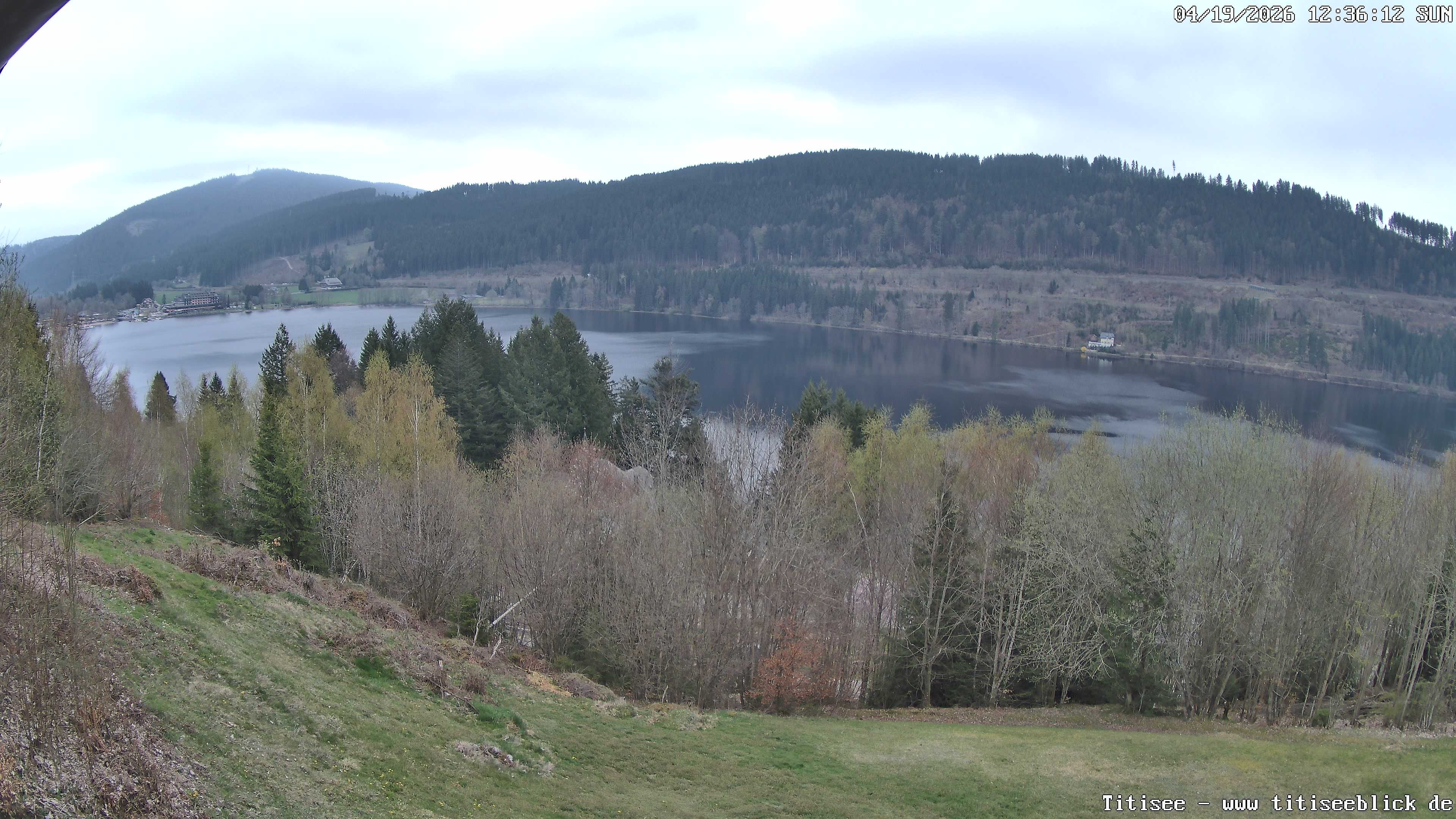 Archiv Foto Webcam Titisee: Westufer