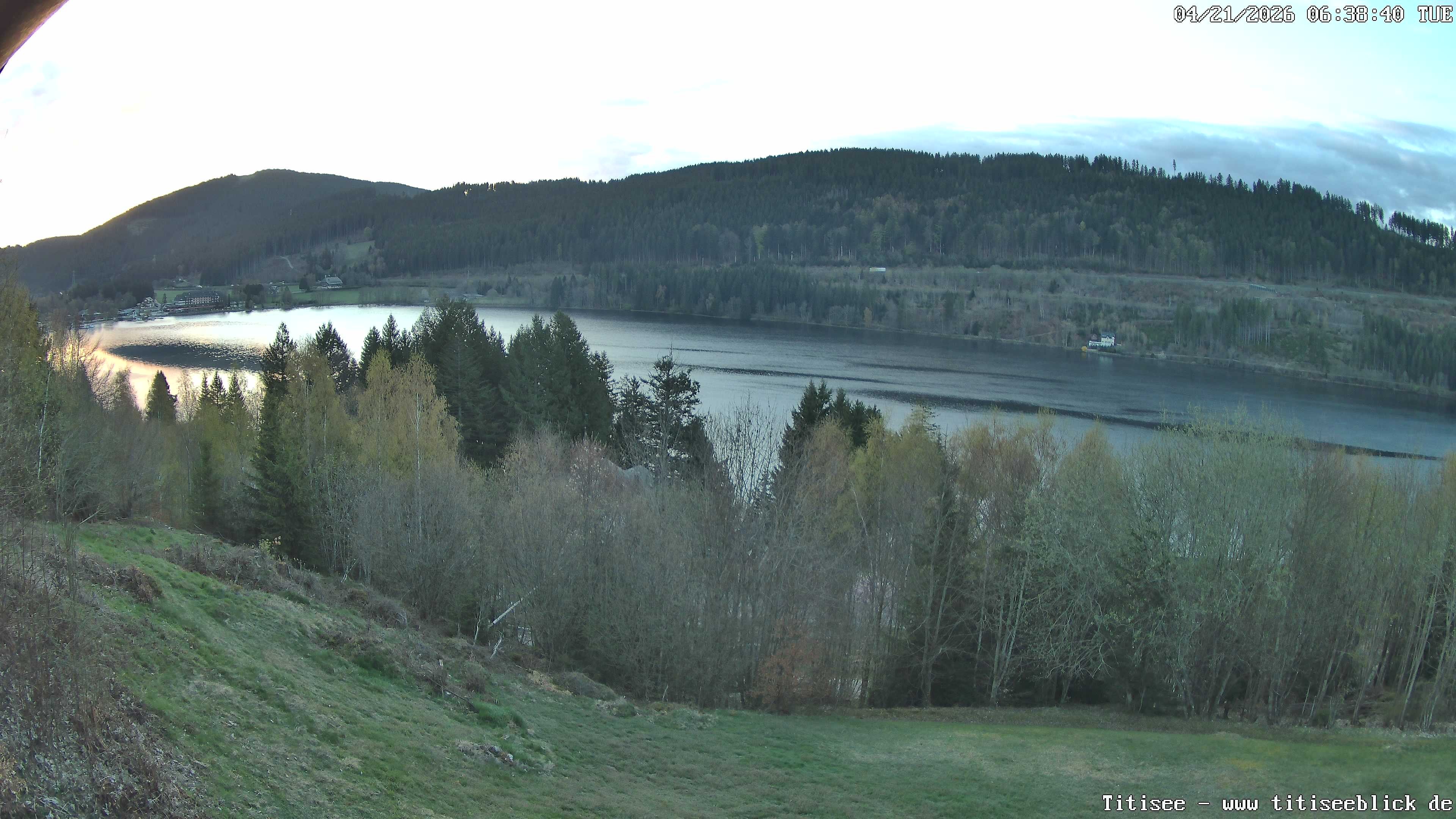 Archiv Foto Webcam Titisee: Westufer