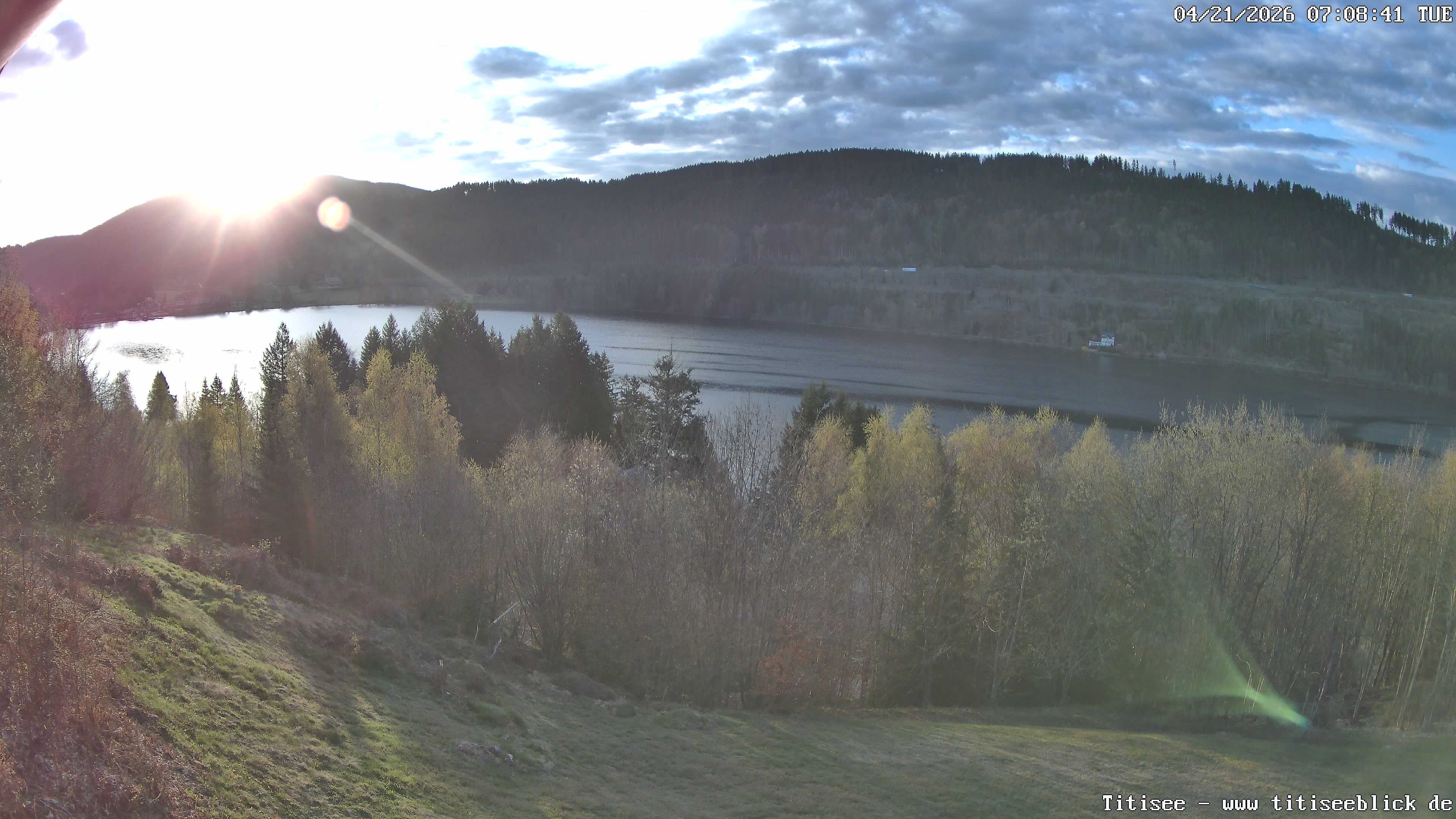 Archiv Foto Webcam Titisee: Westufer