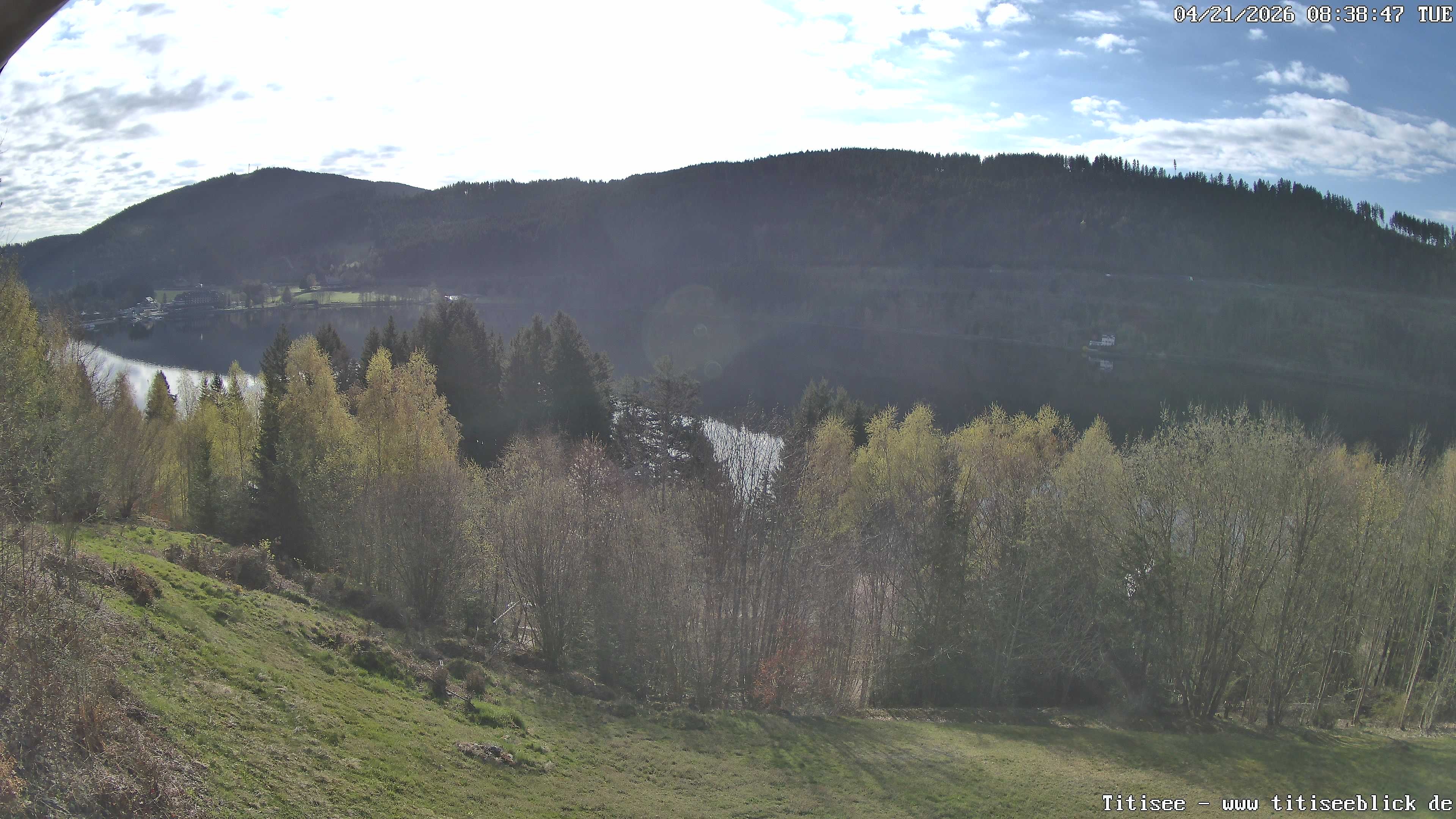 Archiv Foto Webcam Titisee: Westufer