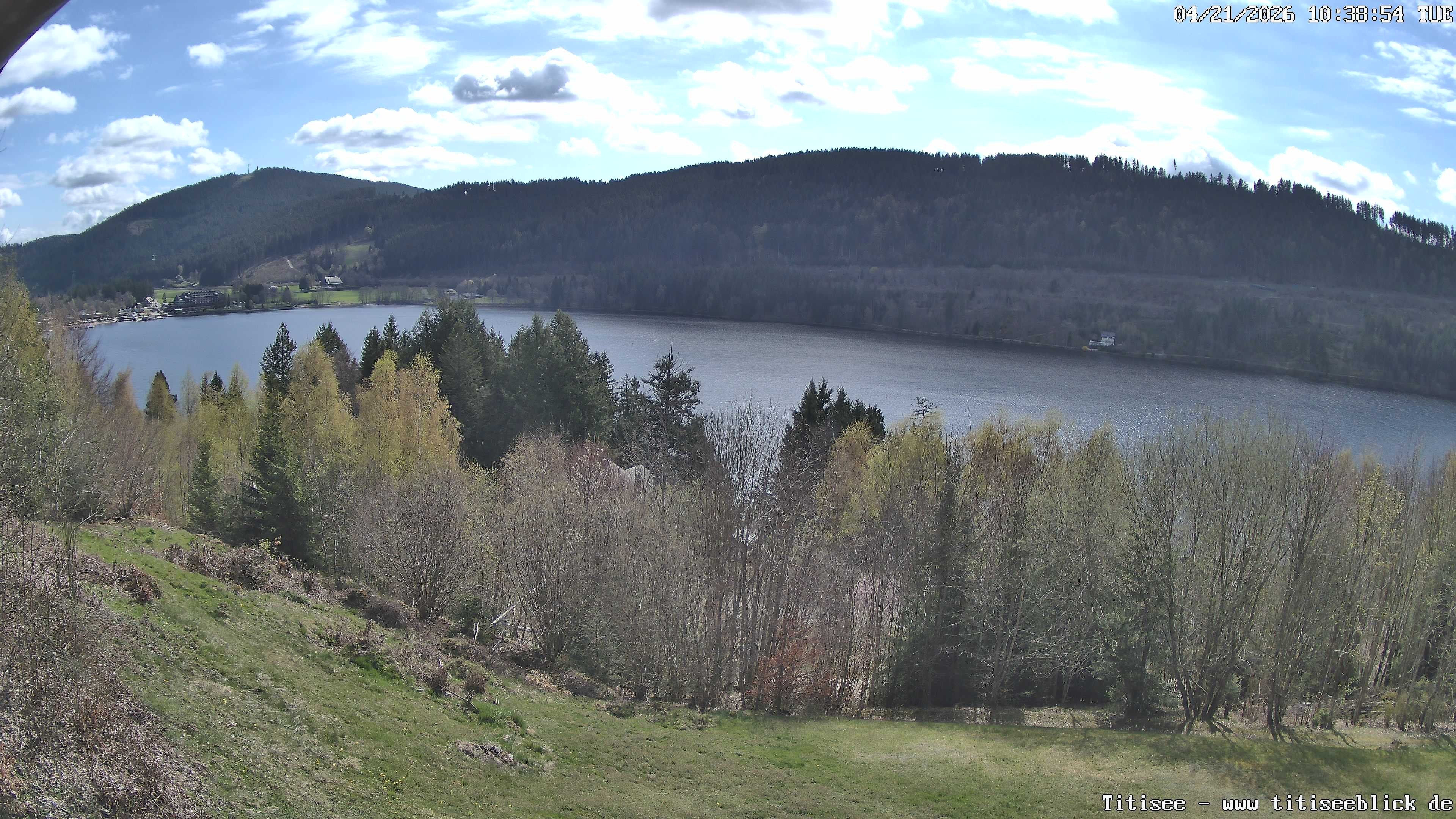 Archiv Foto Webcam Titisee: Westufer