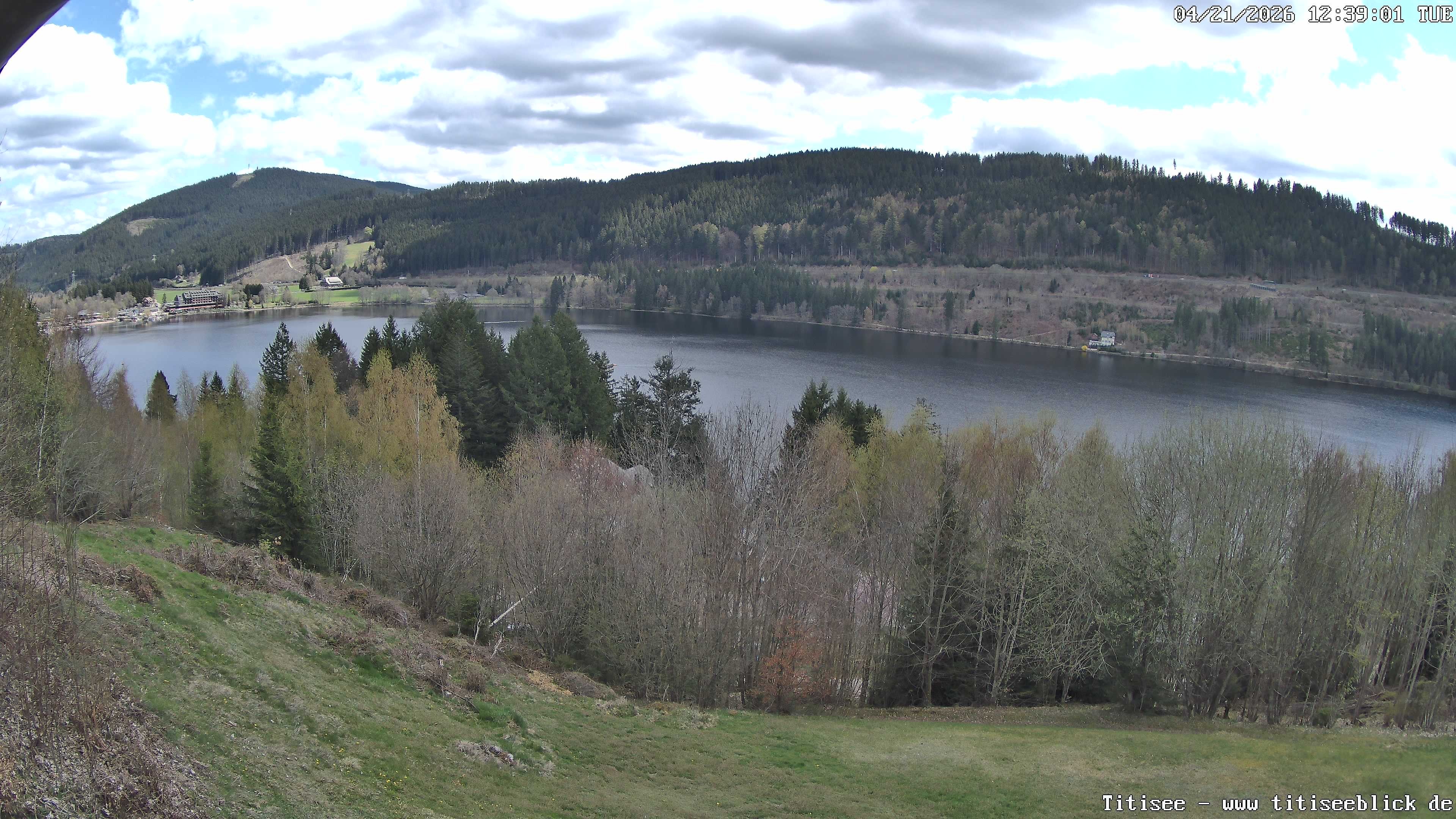 Archiv Foto Webcam Titisee: Westufer