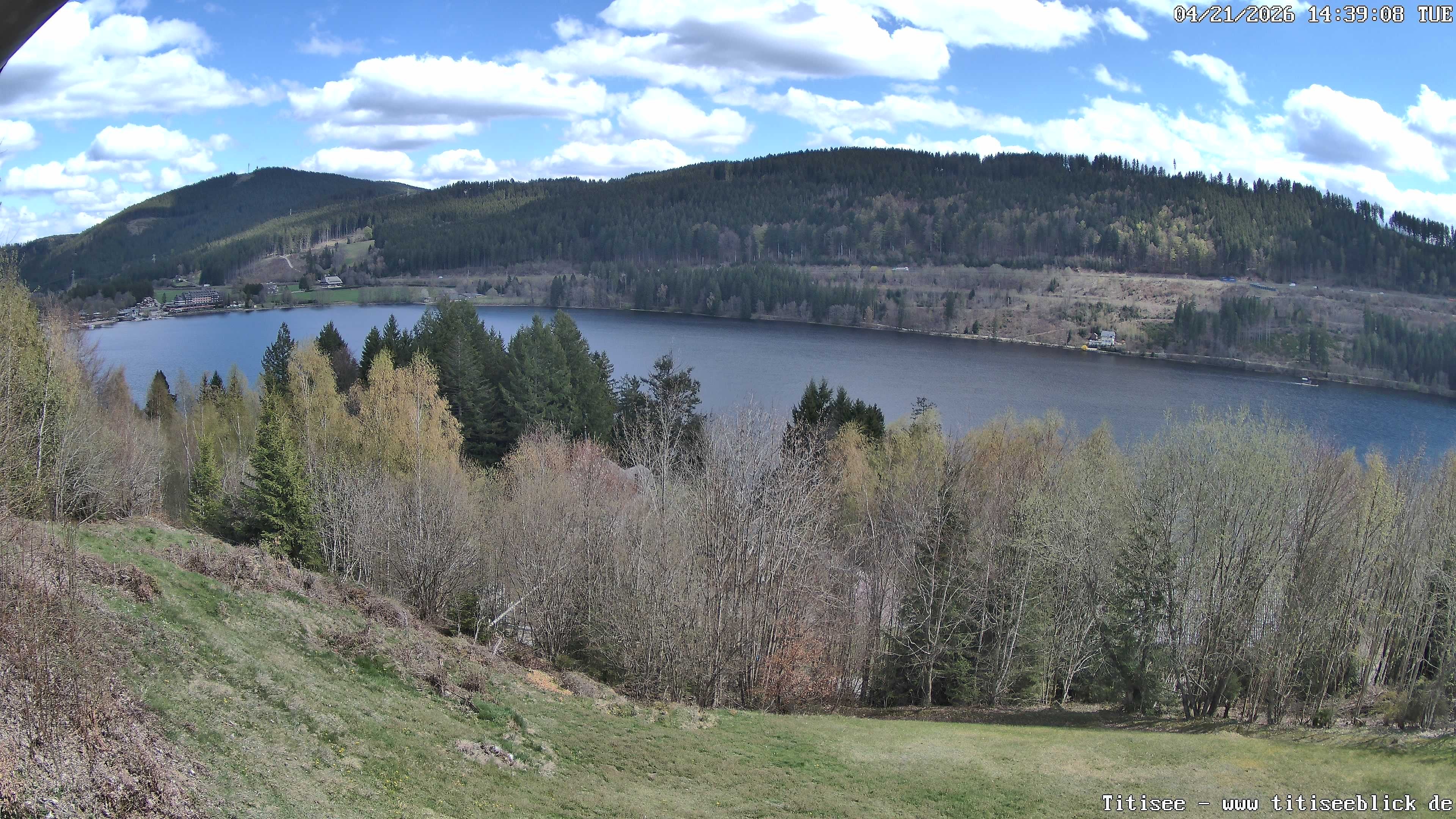 Archiv Foto Webcam Titisee: Westufer