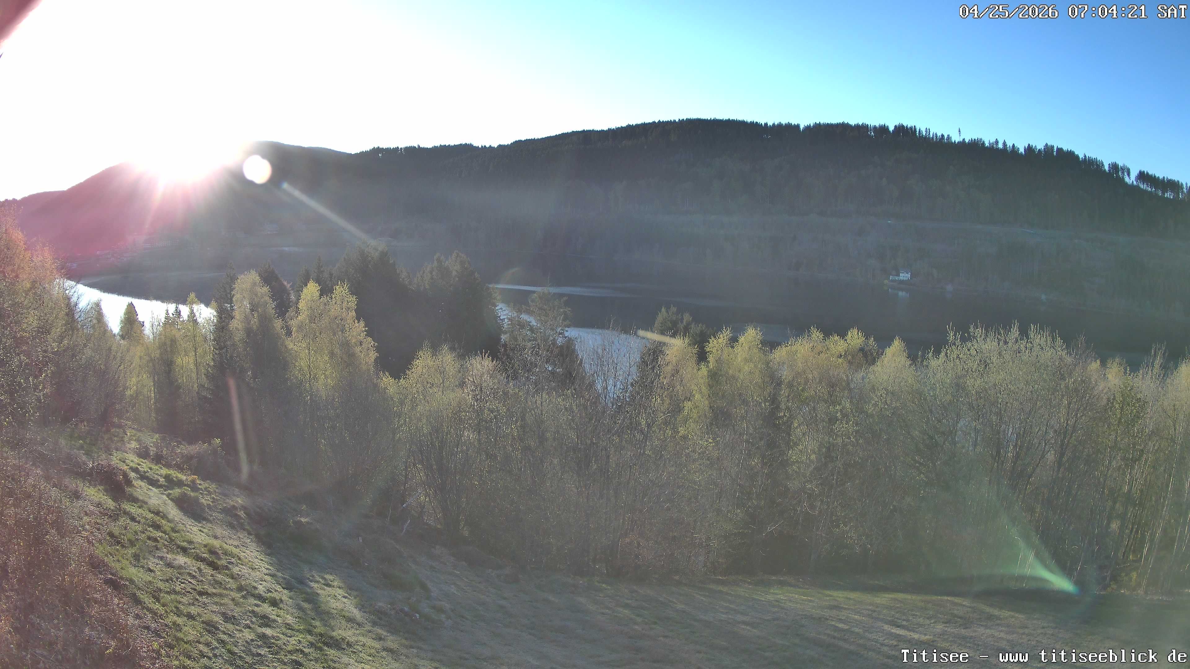 Archiv Foto Webcam Titisee: Westufer
