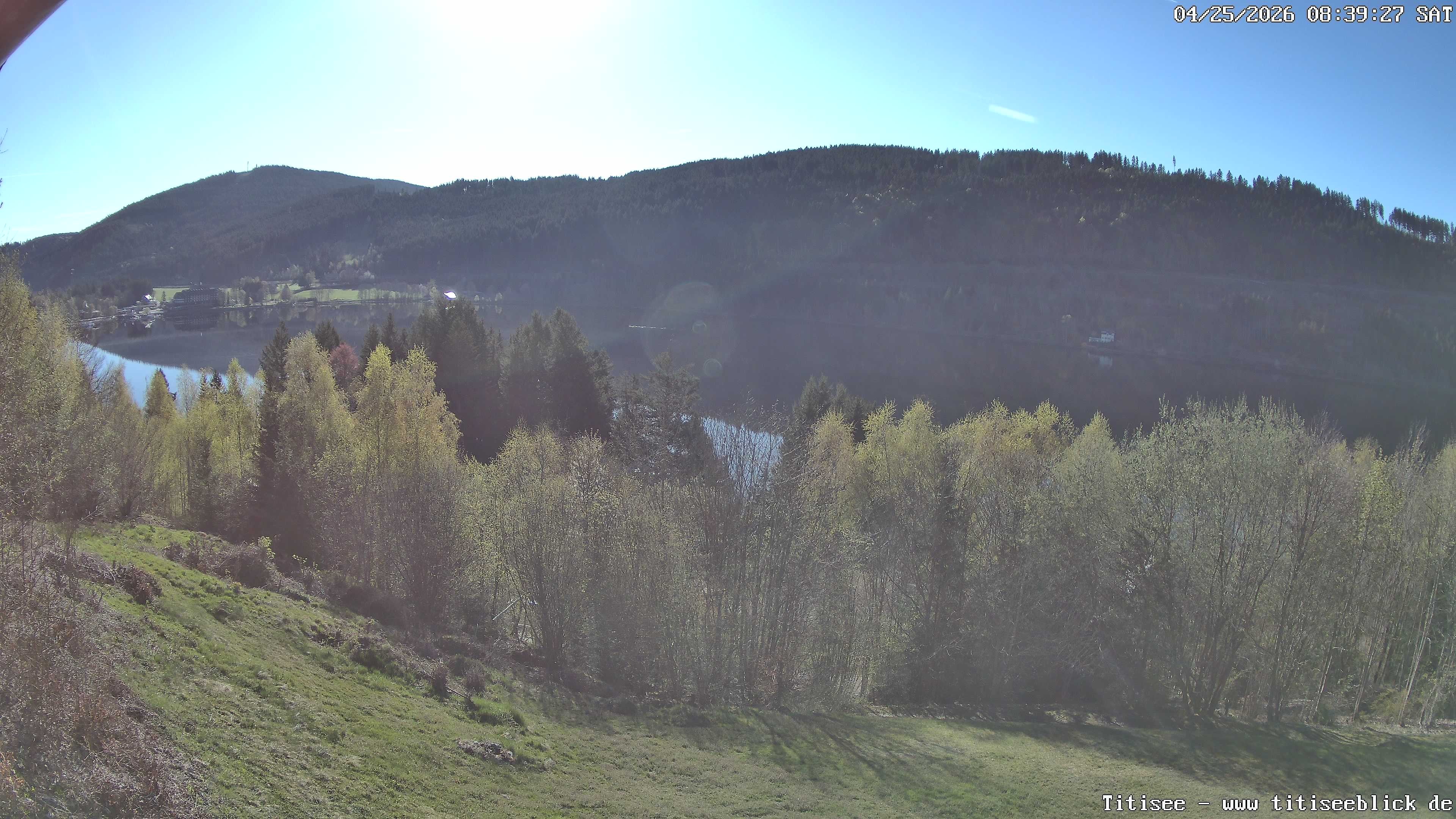 Archiv Foto Webcam Titisee: Westufer