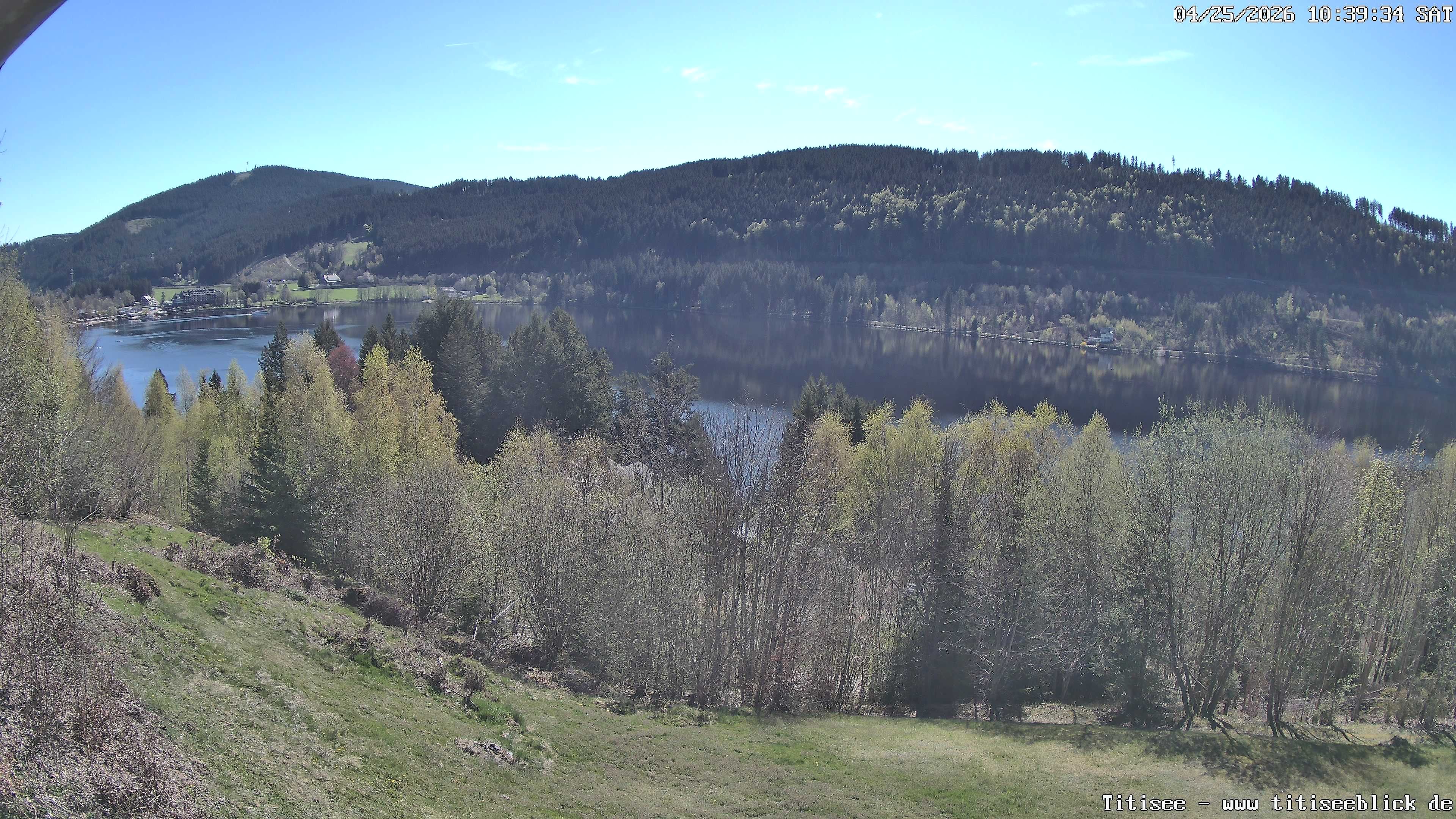 Archiv Foto Webcam Titisee: Westufer