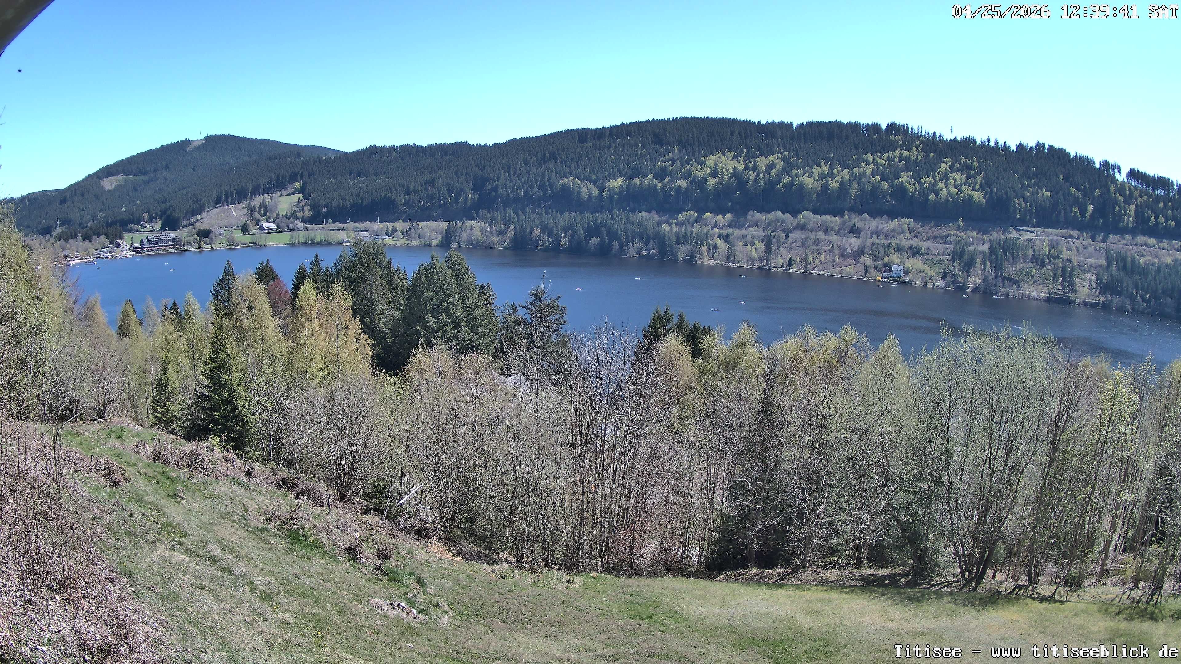 Archiv Foto Webcam Titisee: Westufer