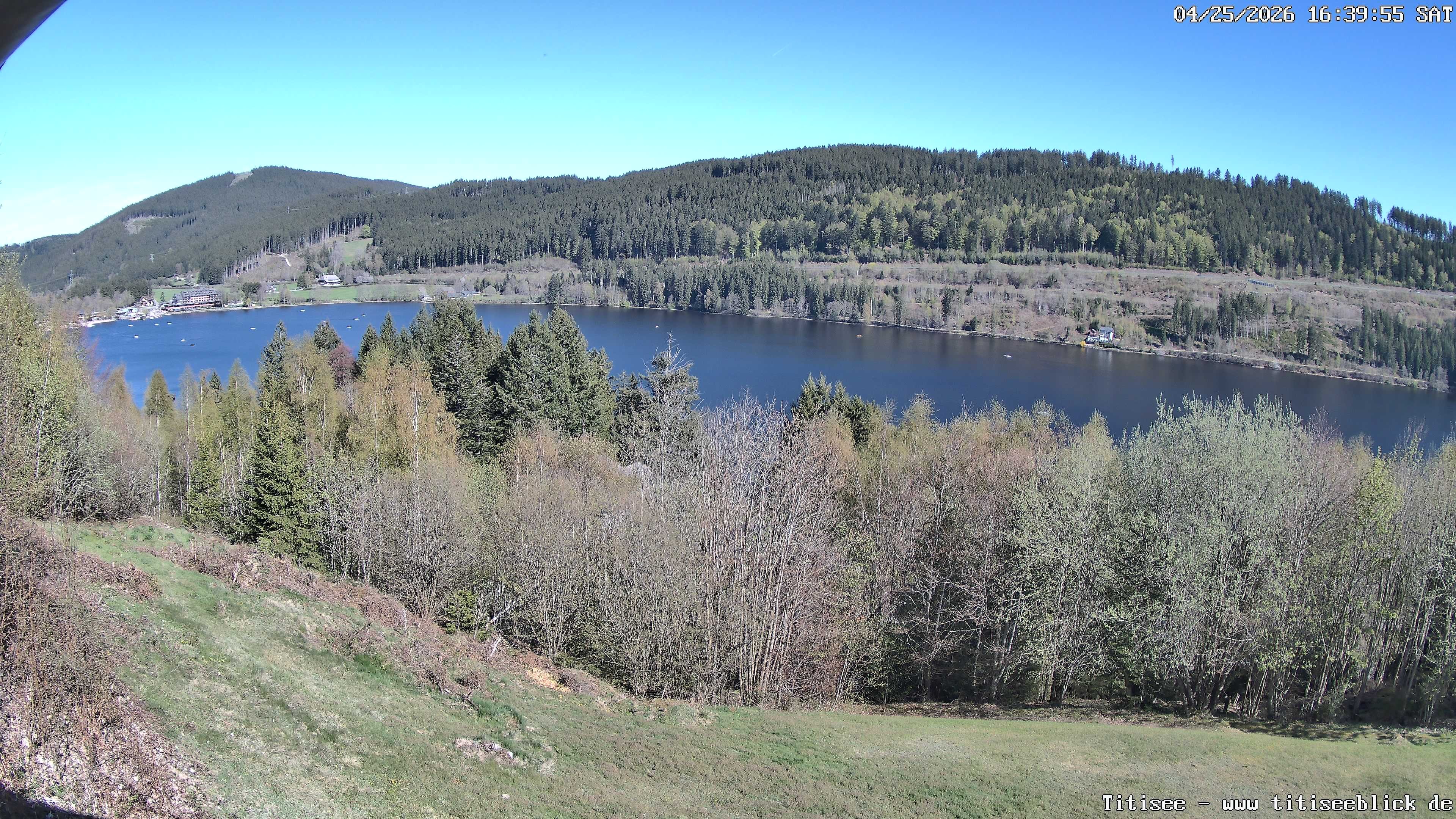 Archiv Foto Webcam Titisee: Westufer
