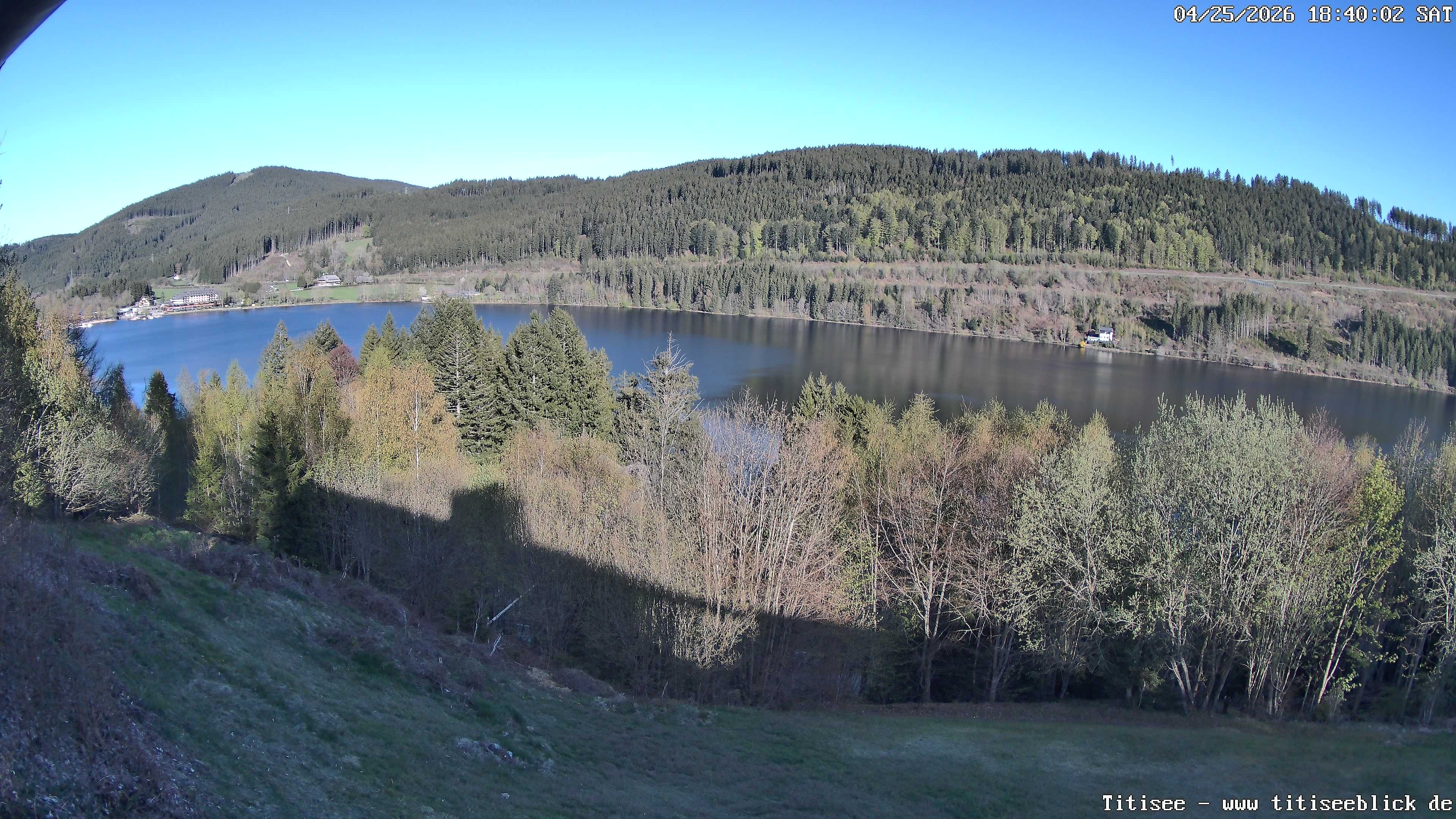 Archiv Foto Webcam Titisee: Westufer