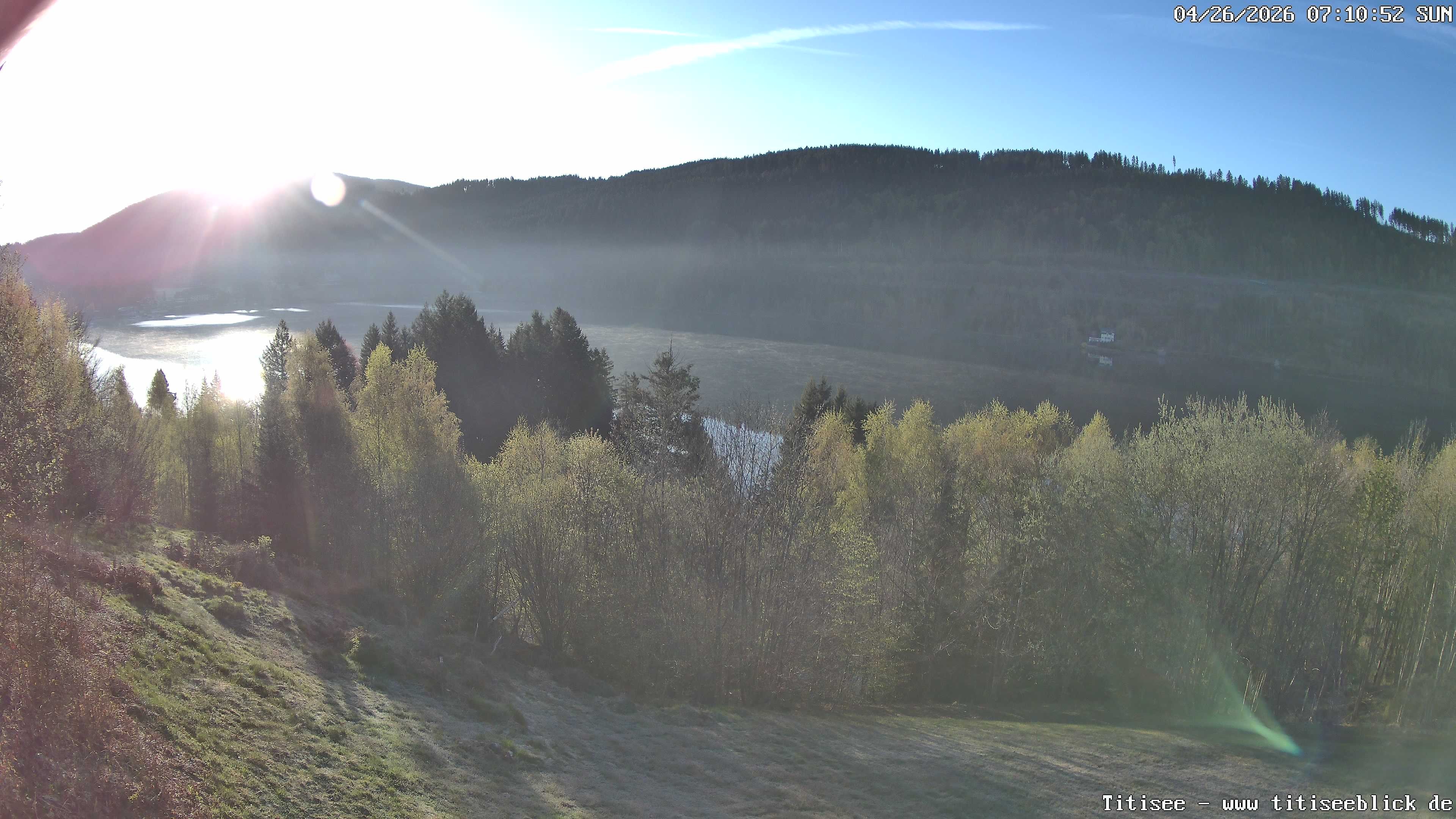 Archiv Foto Webcam Titisee: Westufer