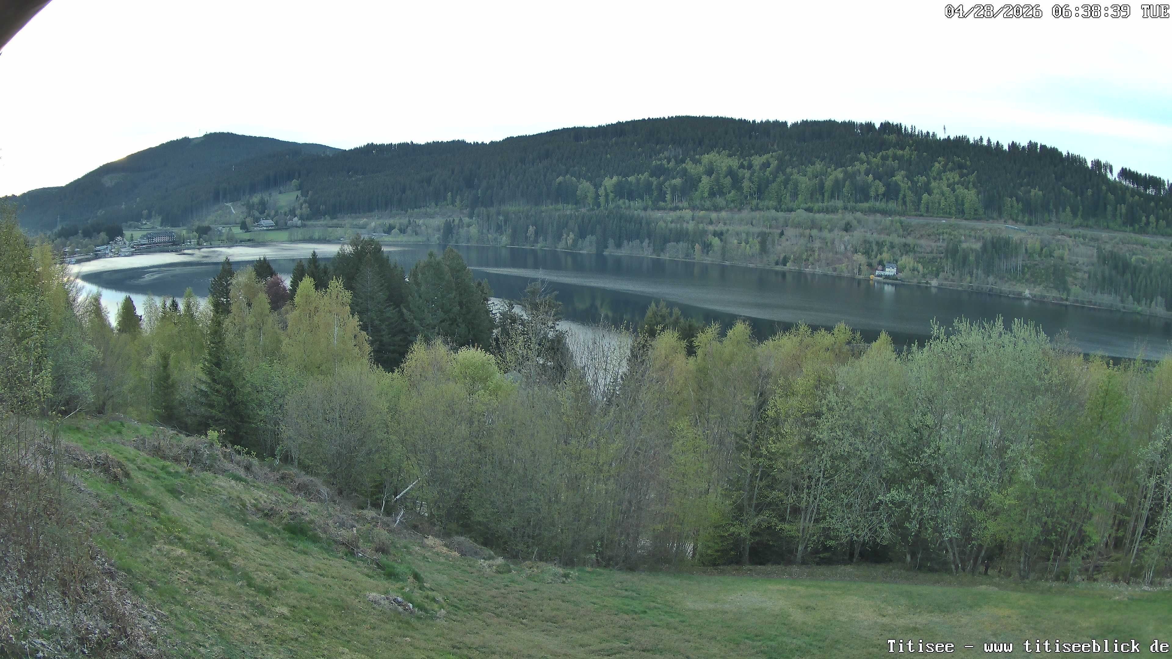 Archiv Foto Webcam Titisee: Westufer