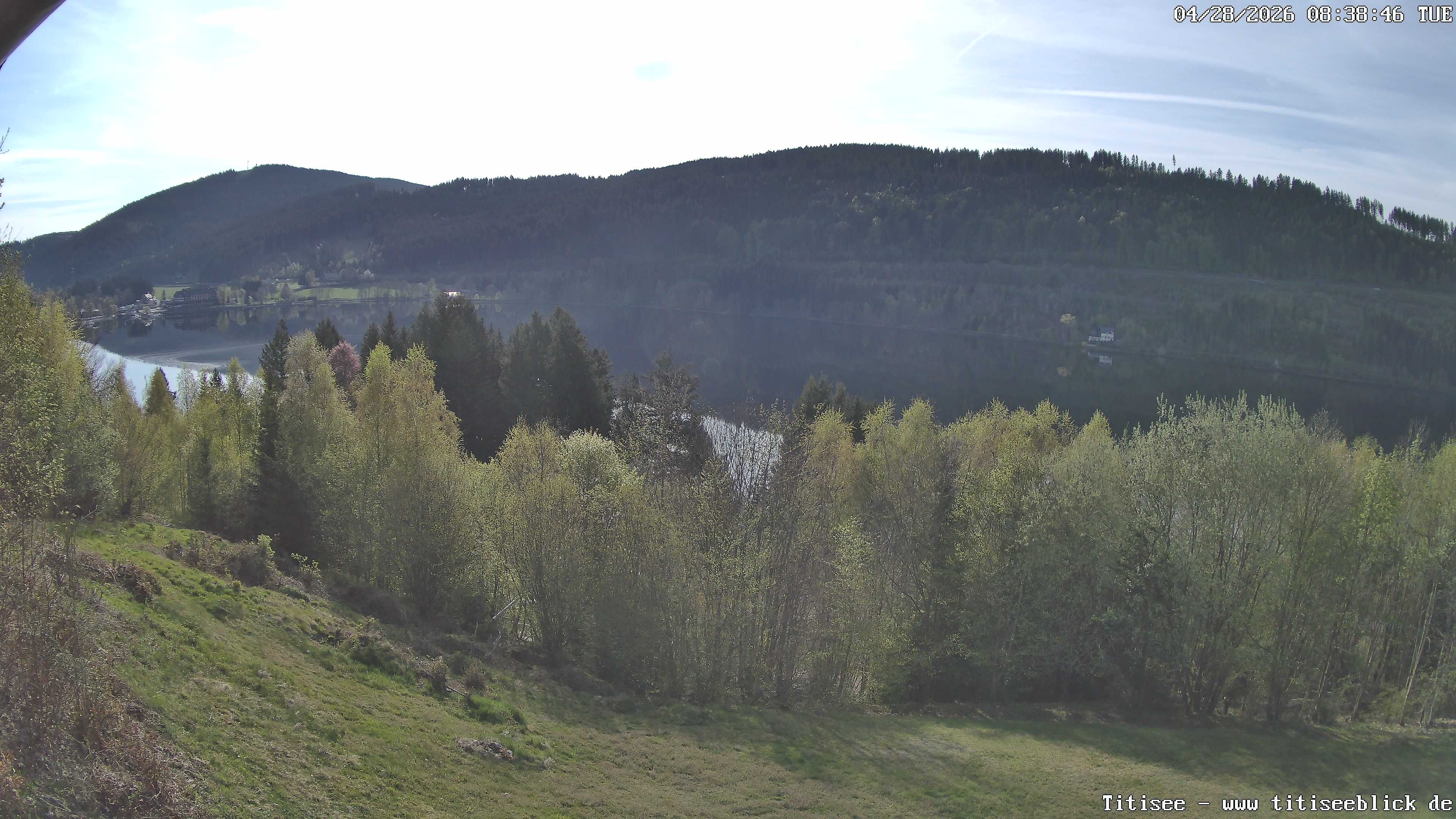 Archiv Foto Webcam Titisee: Westufer