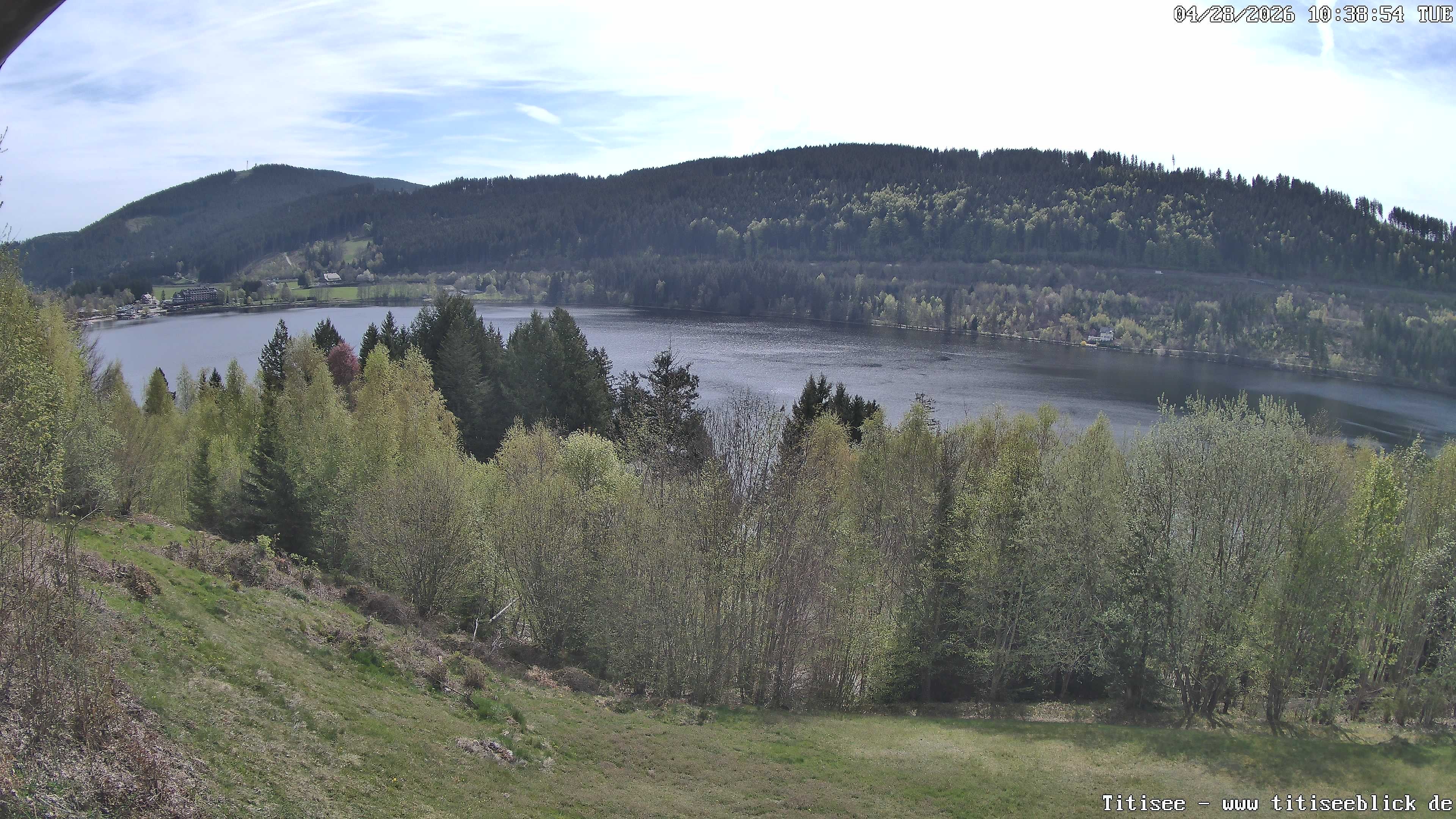 Archiv Foto Webcam Titisee: Westufer