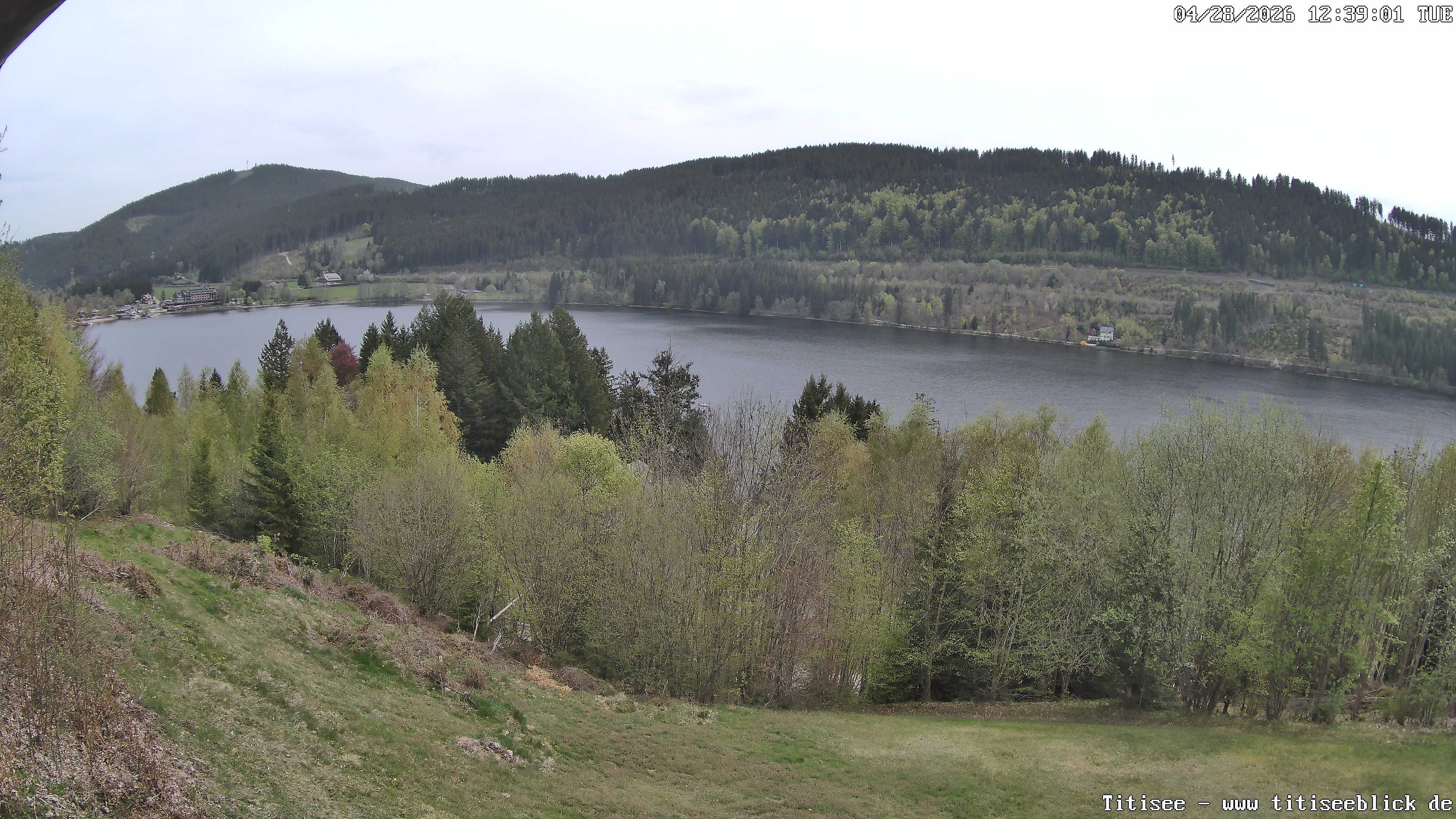 Archiv Foto Webcam Titisee: Westufer