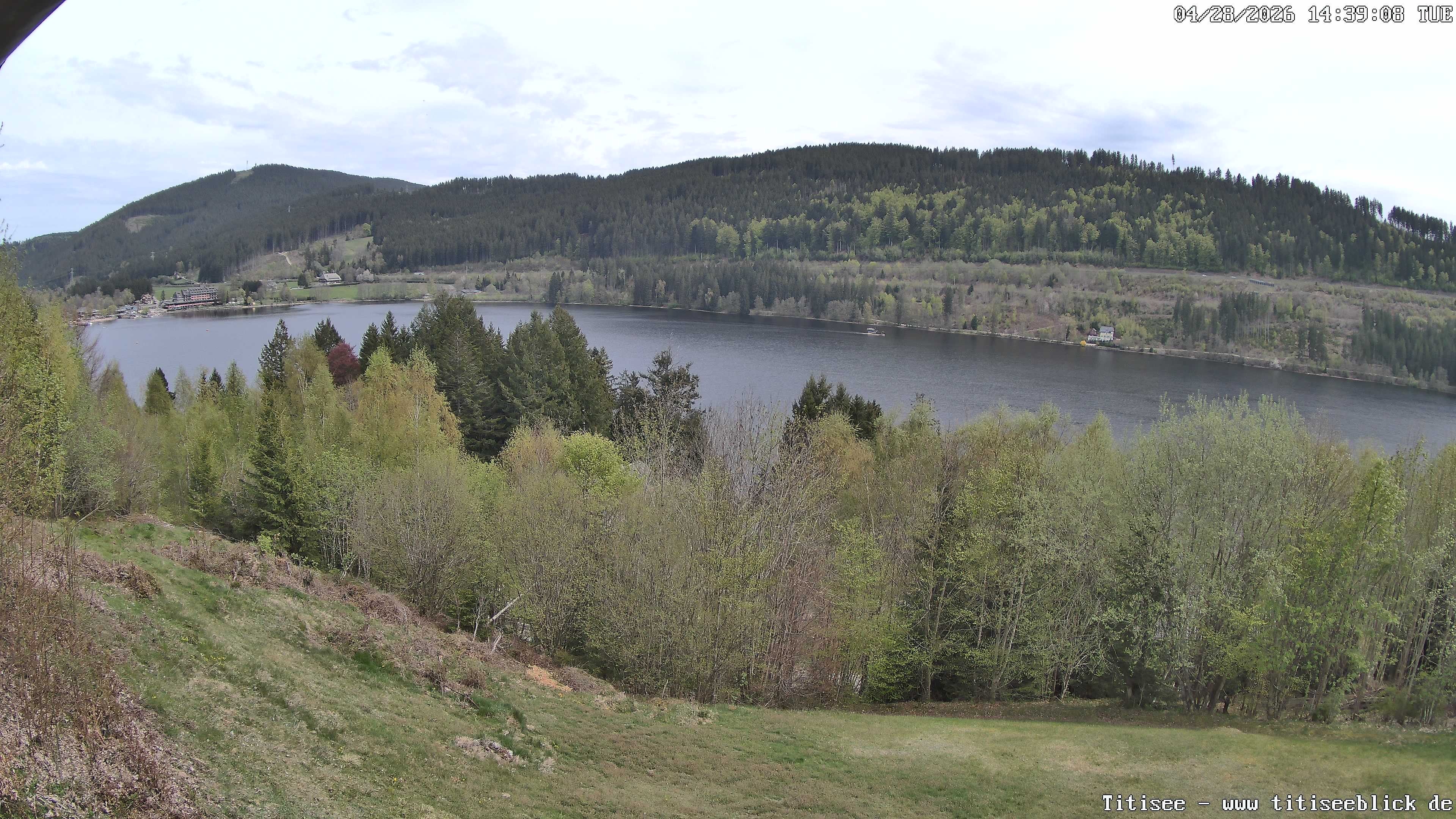 Archiv Foto Webcam Titisee: Westufer