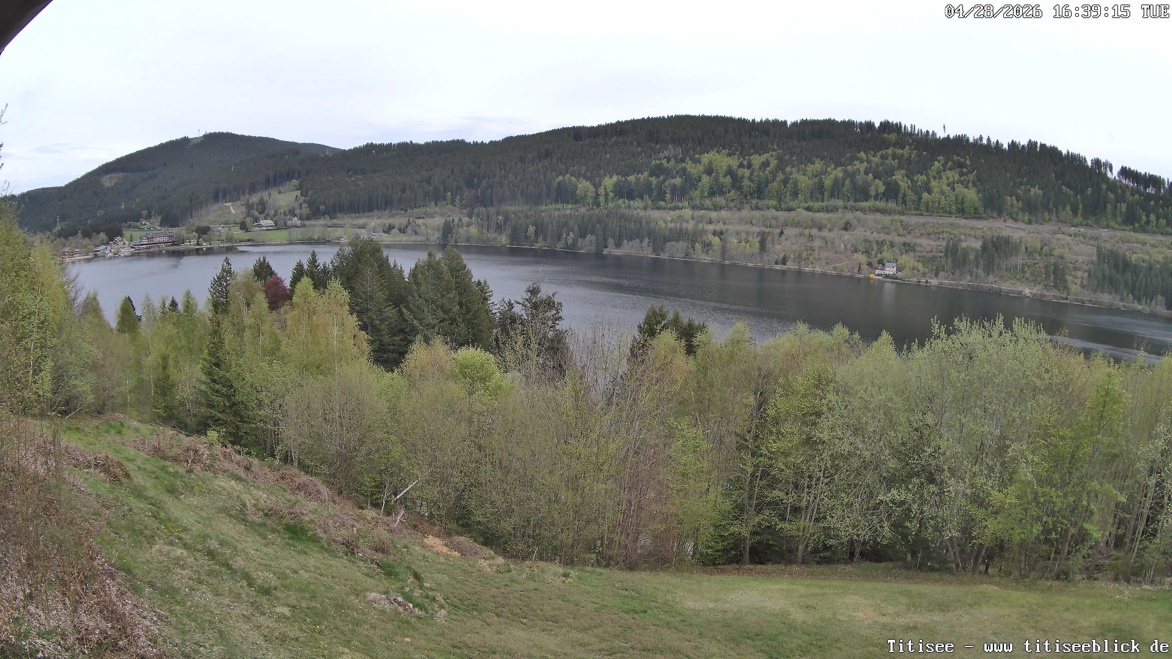 Archiv Foto Webcam Titisee: Westufer