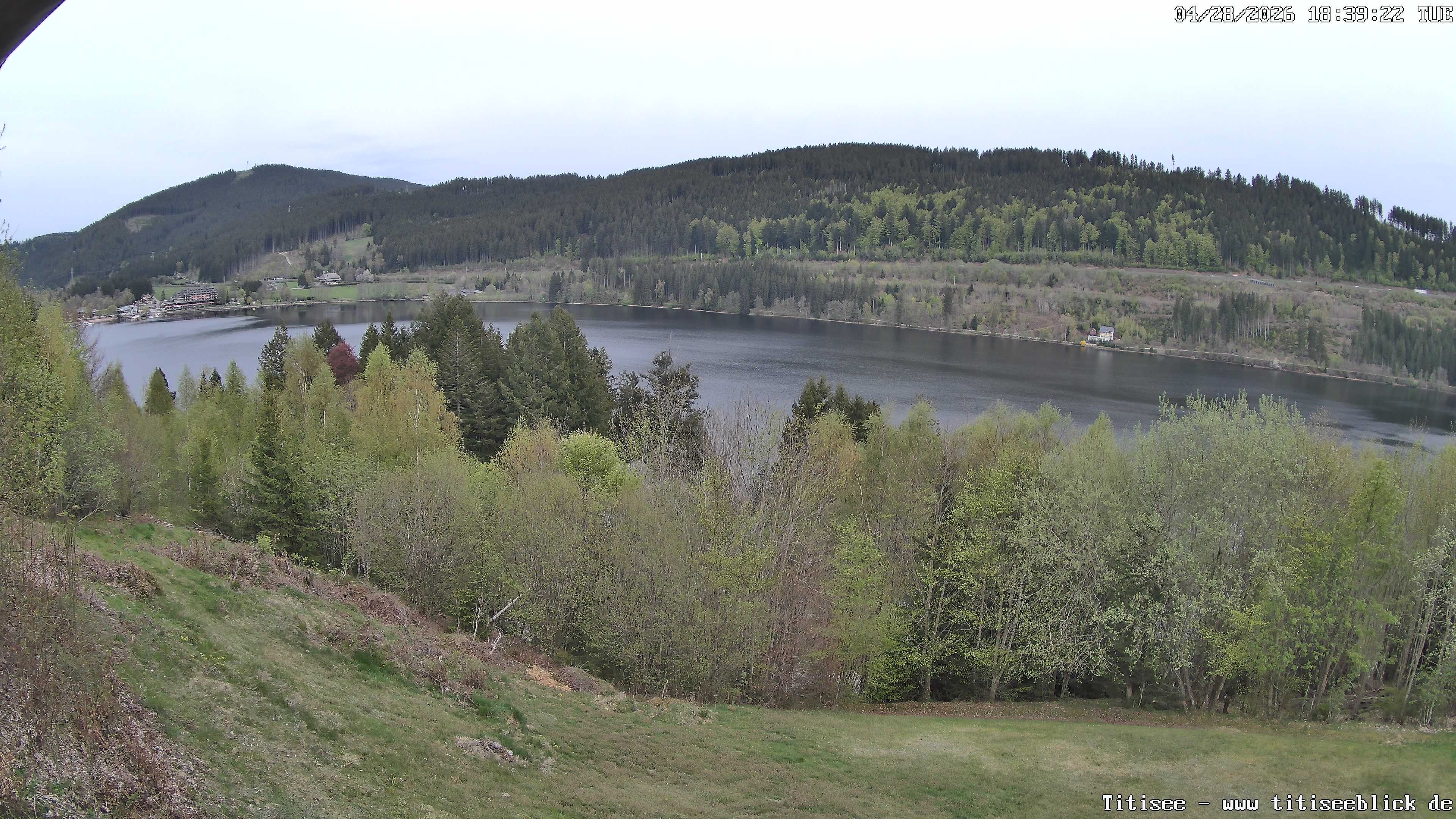 Archiv Foto Webcam Titisee: Westufer