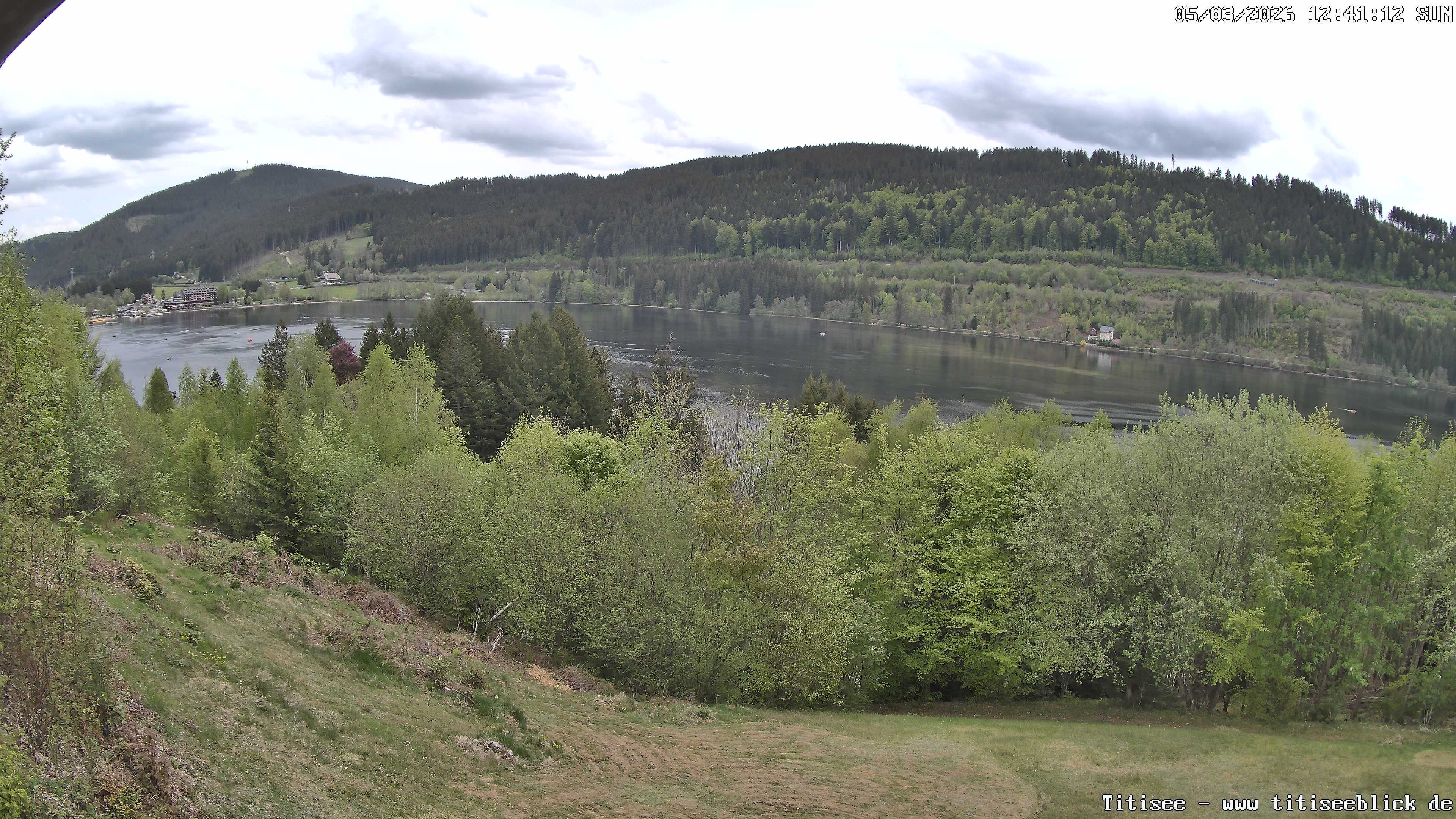 Archiv Foto Webcam Titisee: Westufer