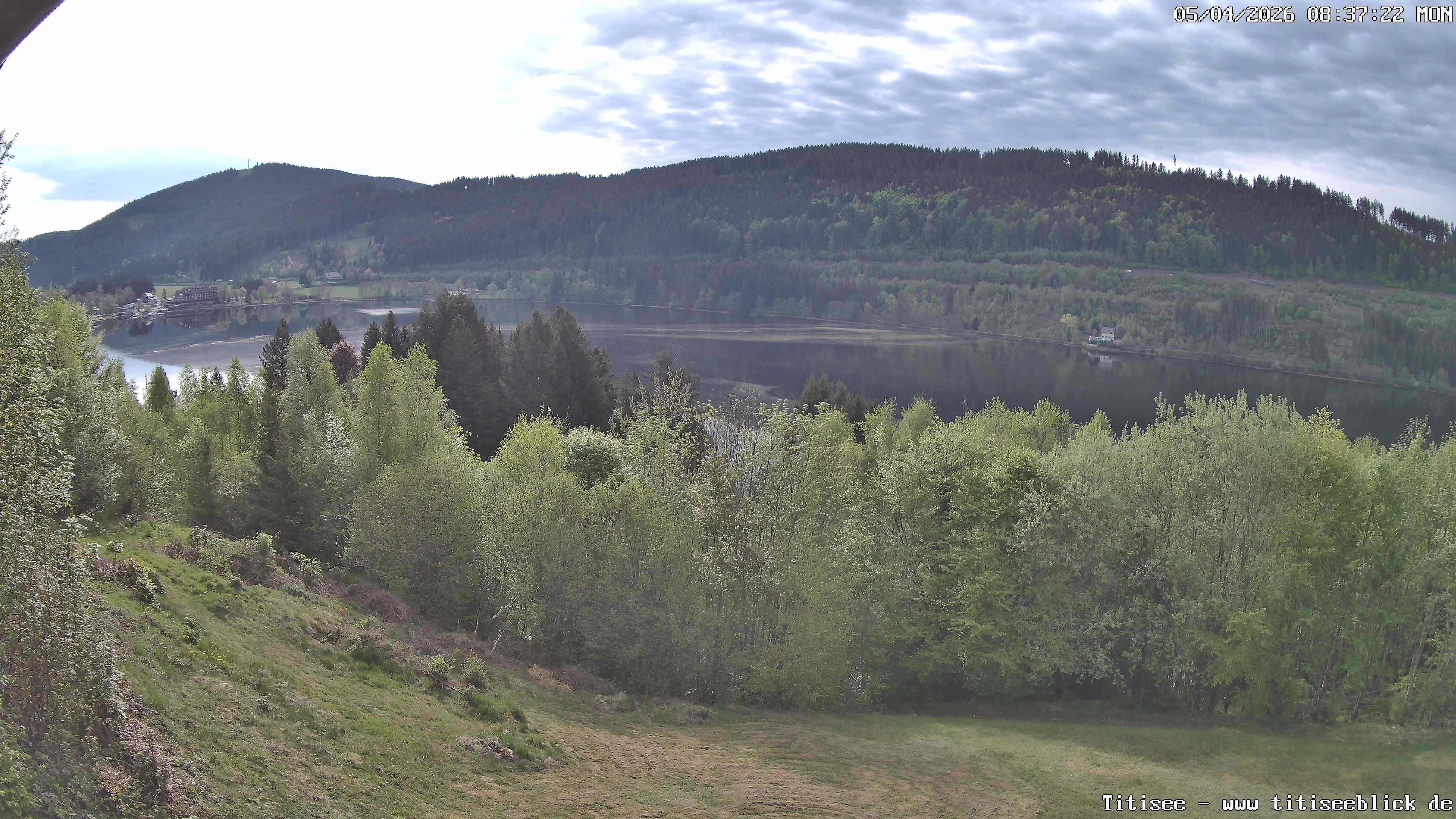Archived image Webcam View of Lake Titisee
