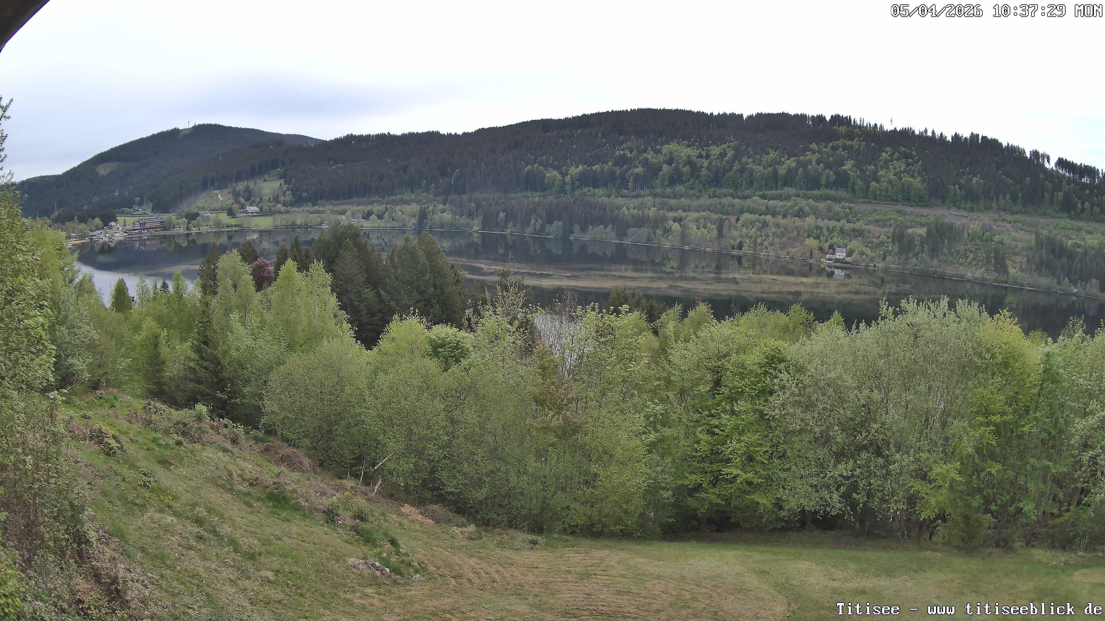 Archived image Webcam View of Lake Titisee