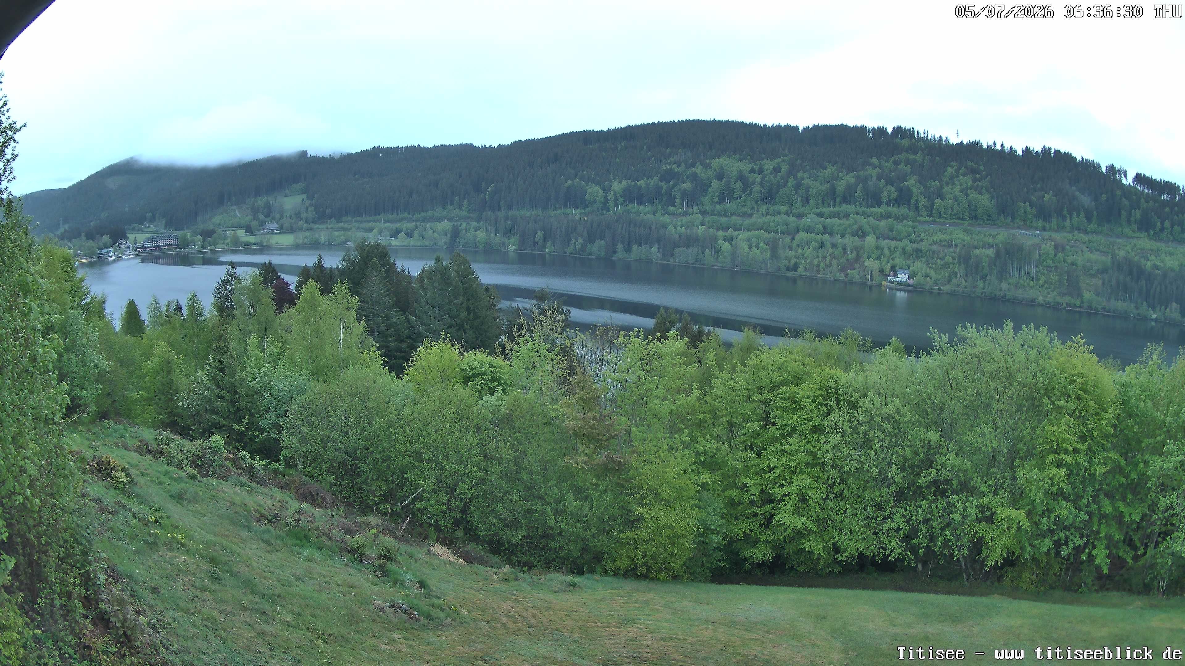 Archiv Foto Webcam Titisee: Westufer