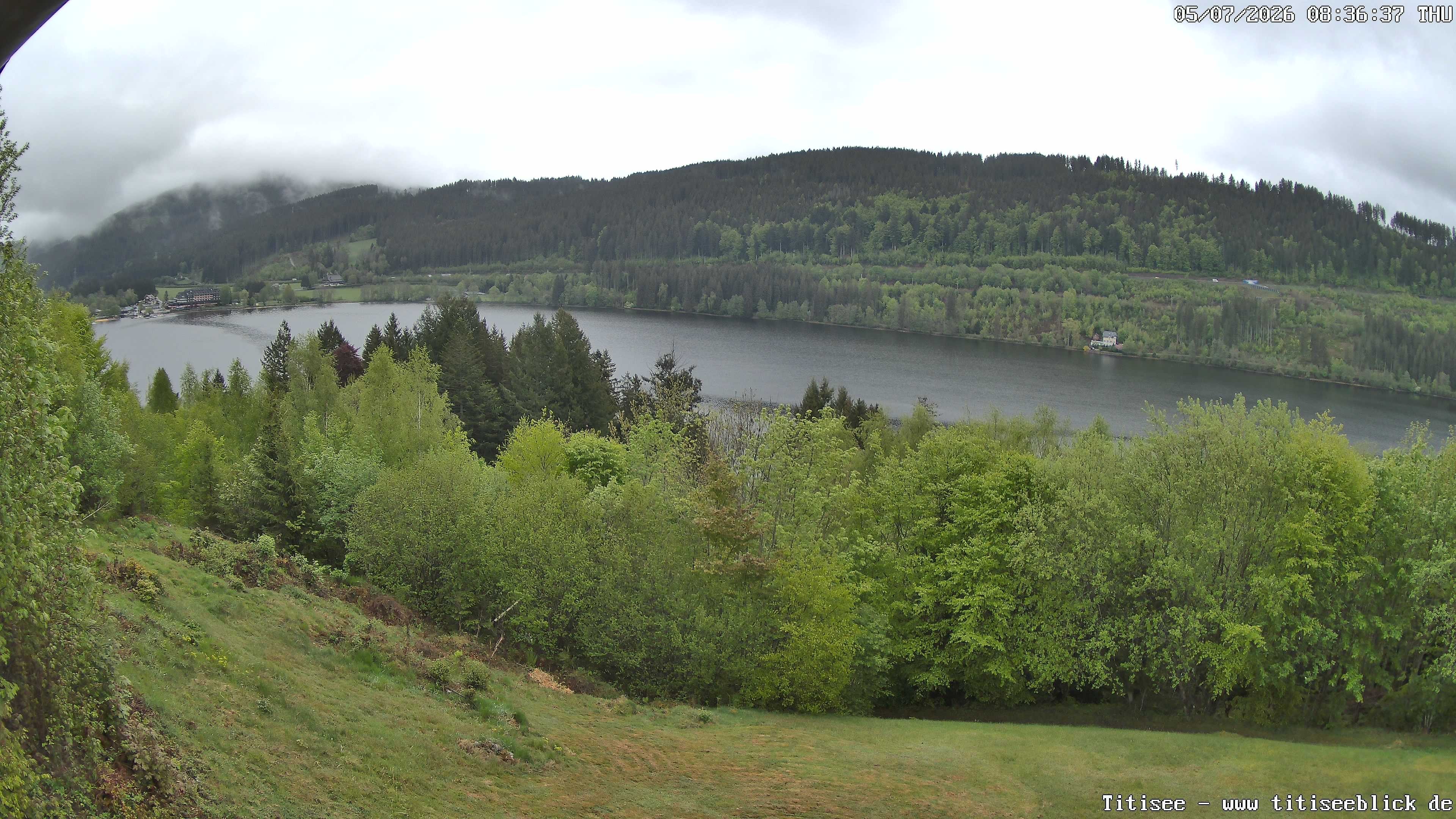 Archiv Foto Webcam Titisee: Westufer