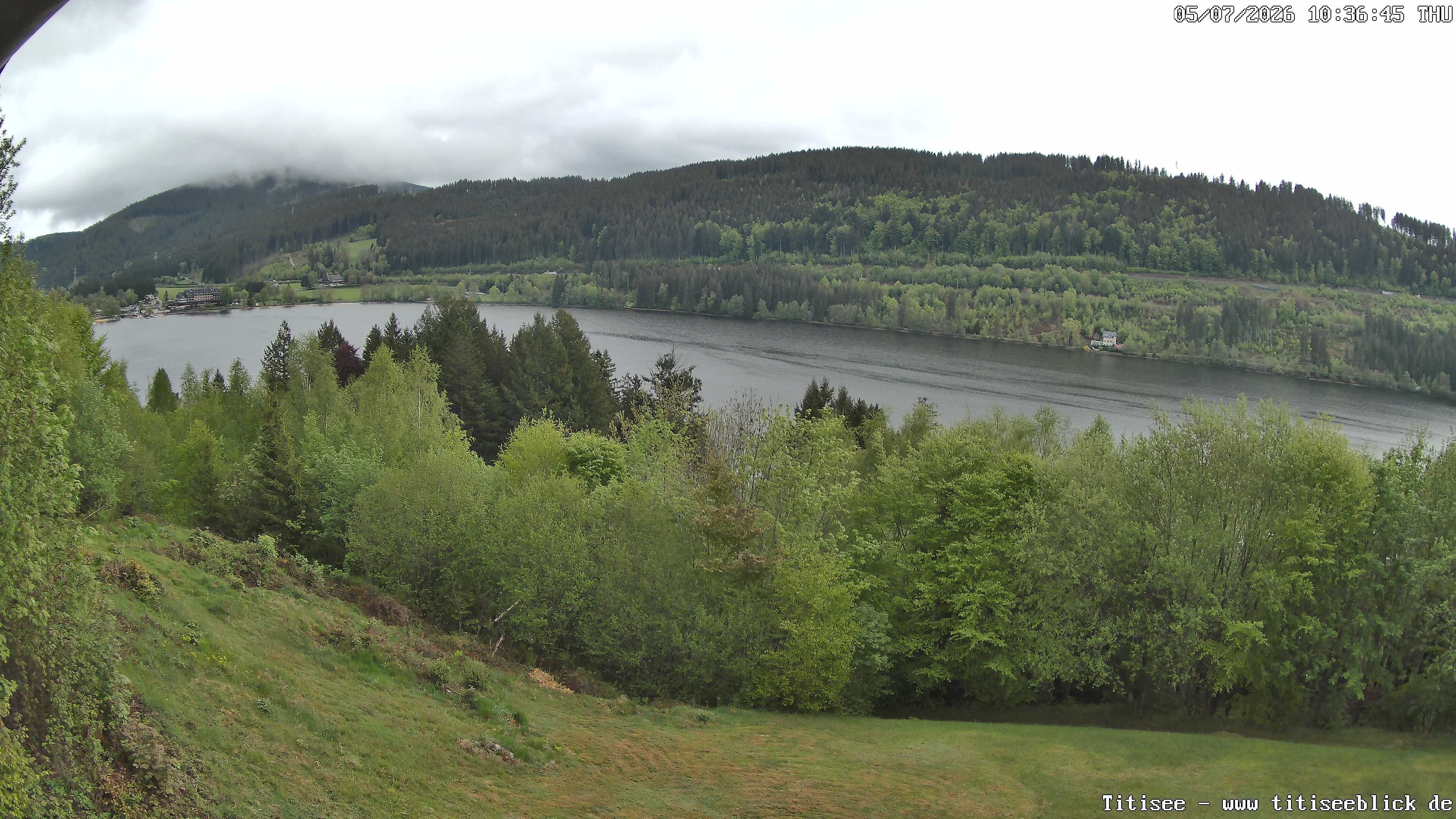Archiv Foto Webcam Titisee: Westufer