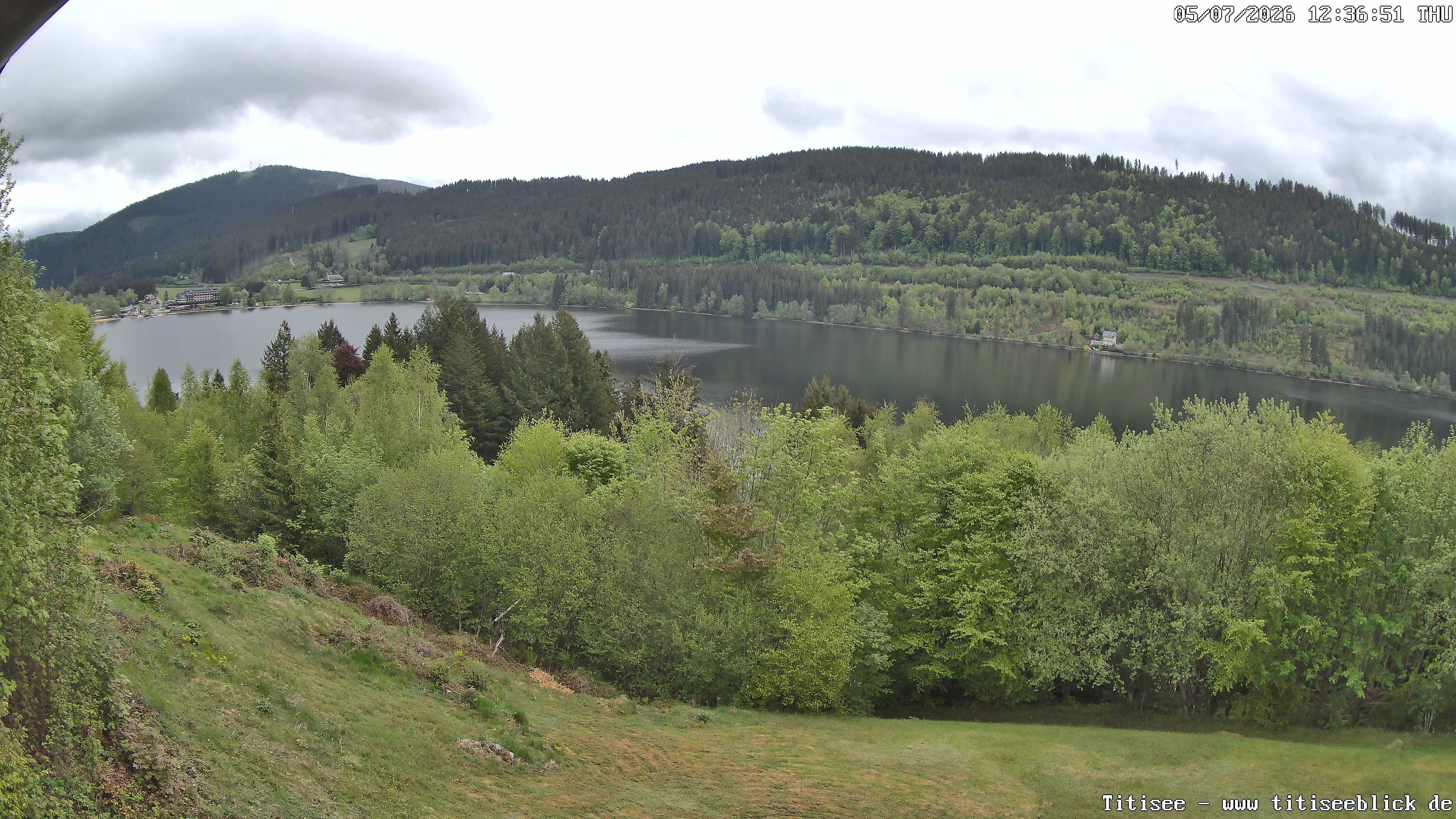 Archiv Foto Webcam Titisee: Westufer