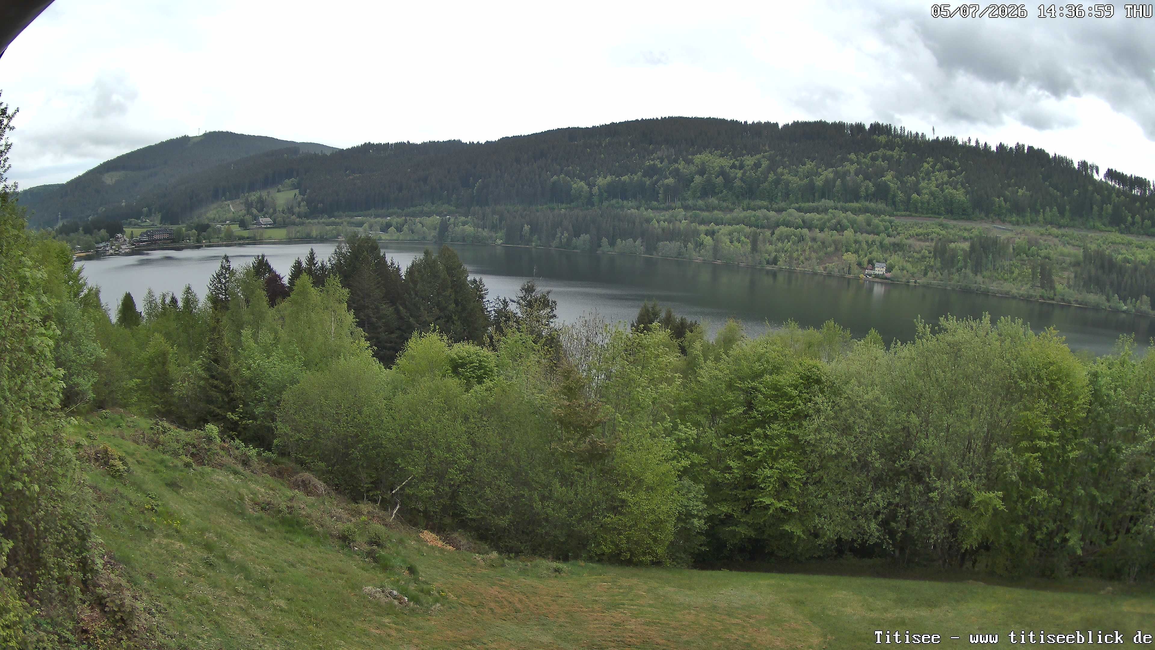 Archiv Foto Webcam Titisee: Westufer