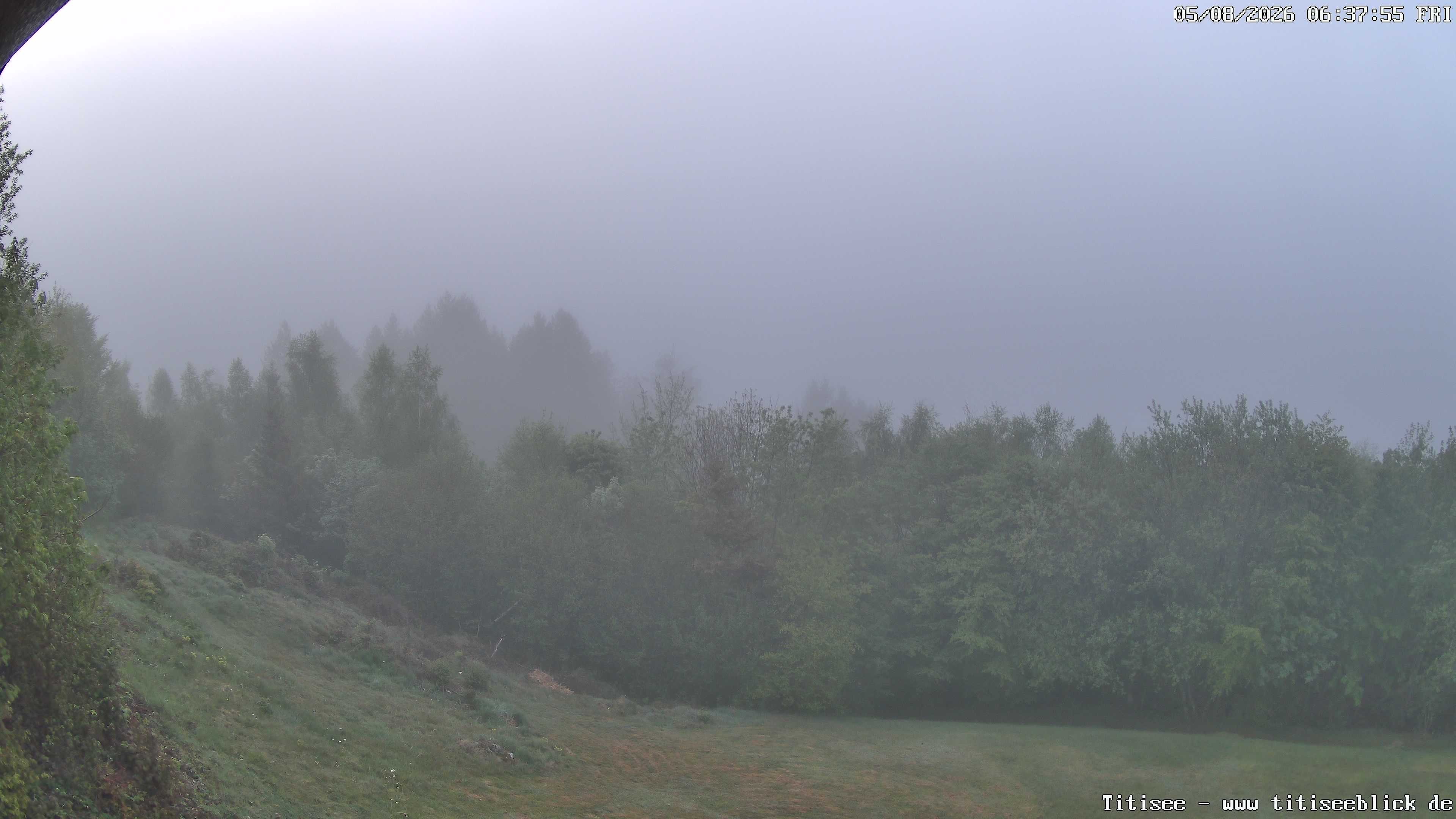 Archiv Foto Webcam Titisee: Westufer