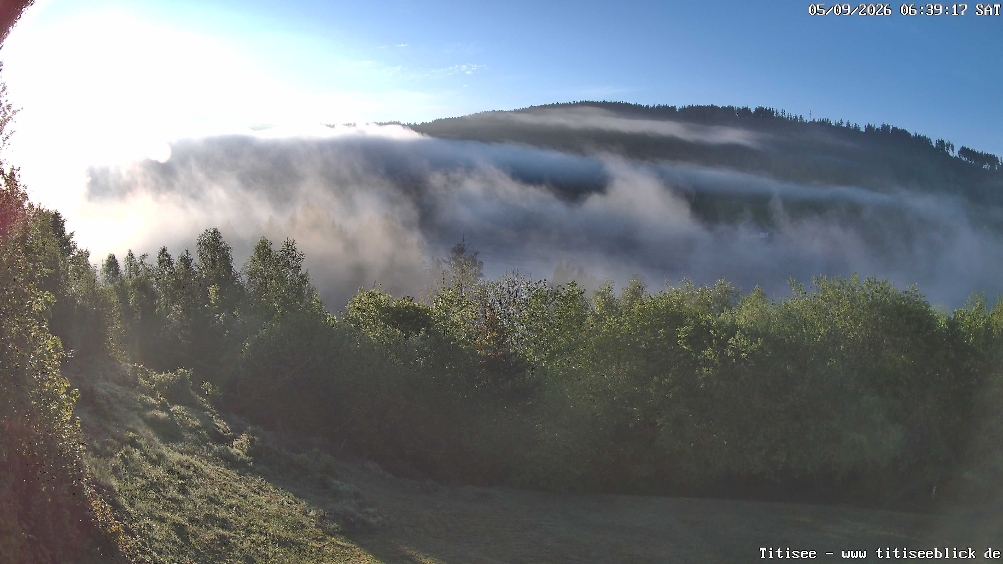 Archiv Foto Webcam Titisee: Westufer