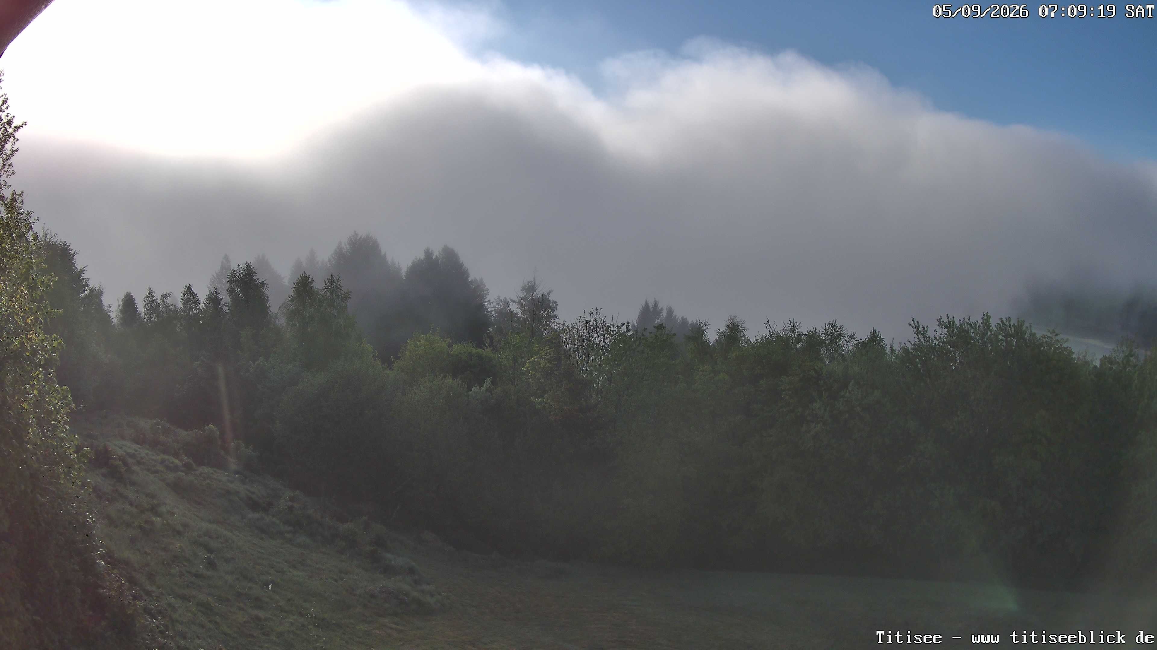 Archiv Foto Webcam Titisee: Westufer