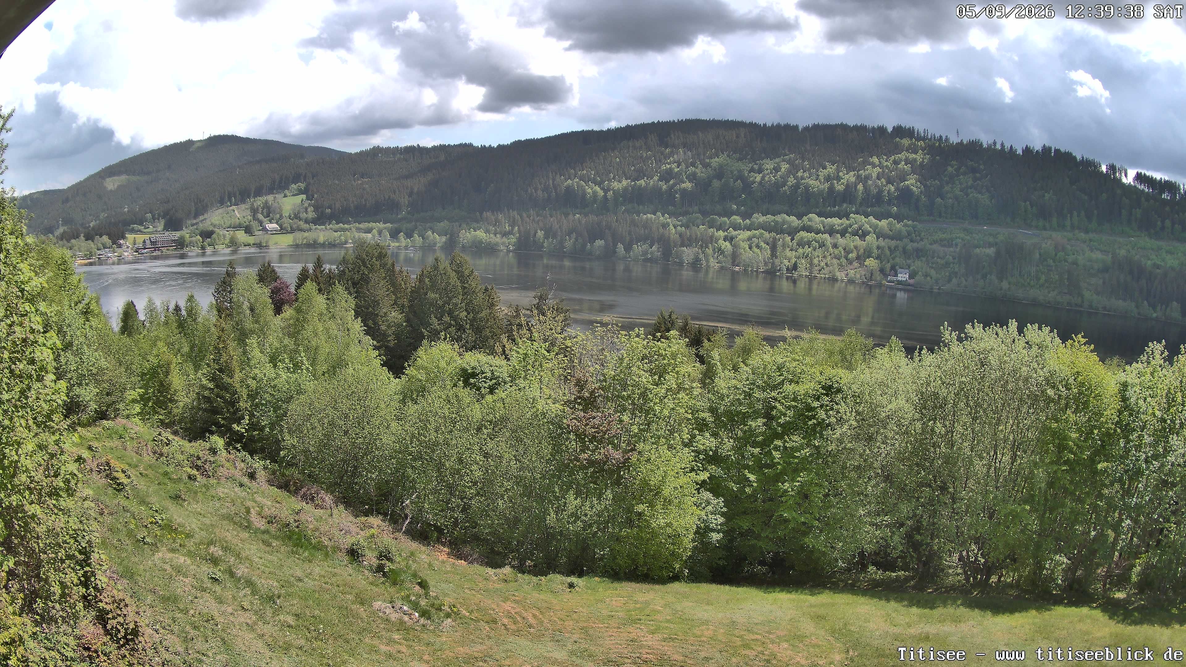 Archiv Foto Webcam Titisee: Westufer