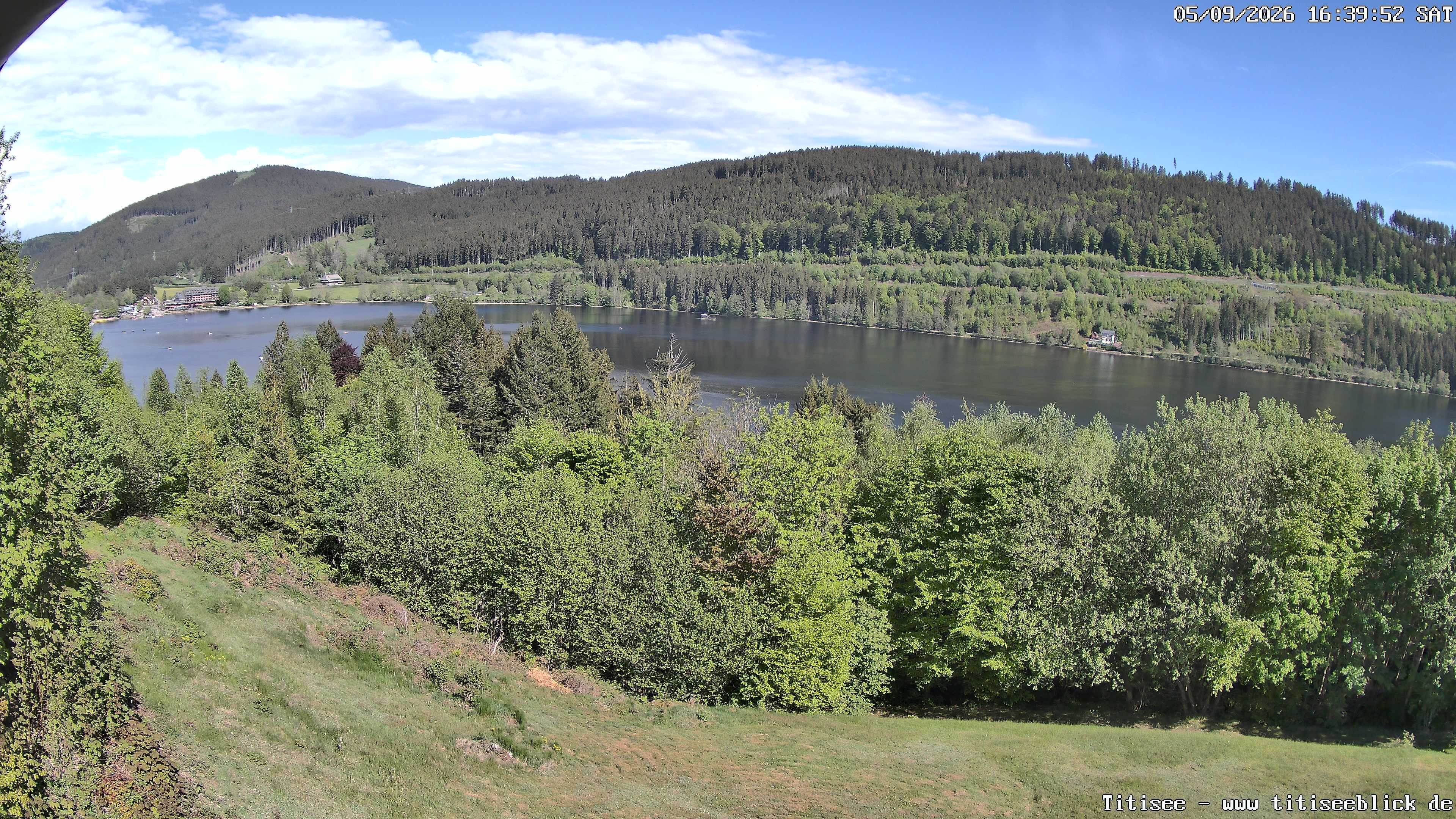 Archiv Foto Webcam Titisee: Westufer